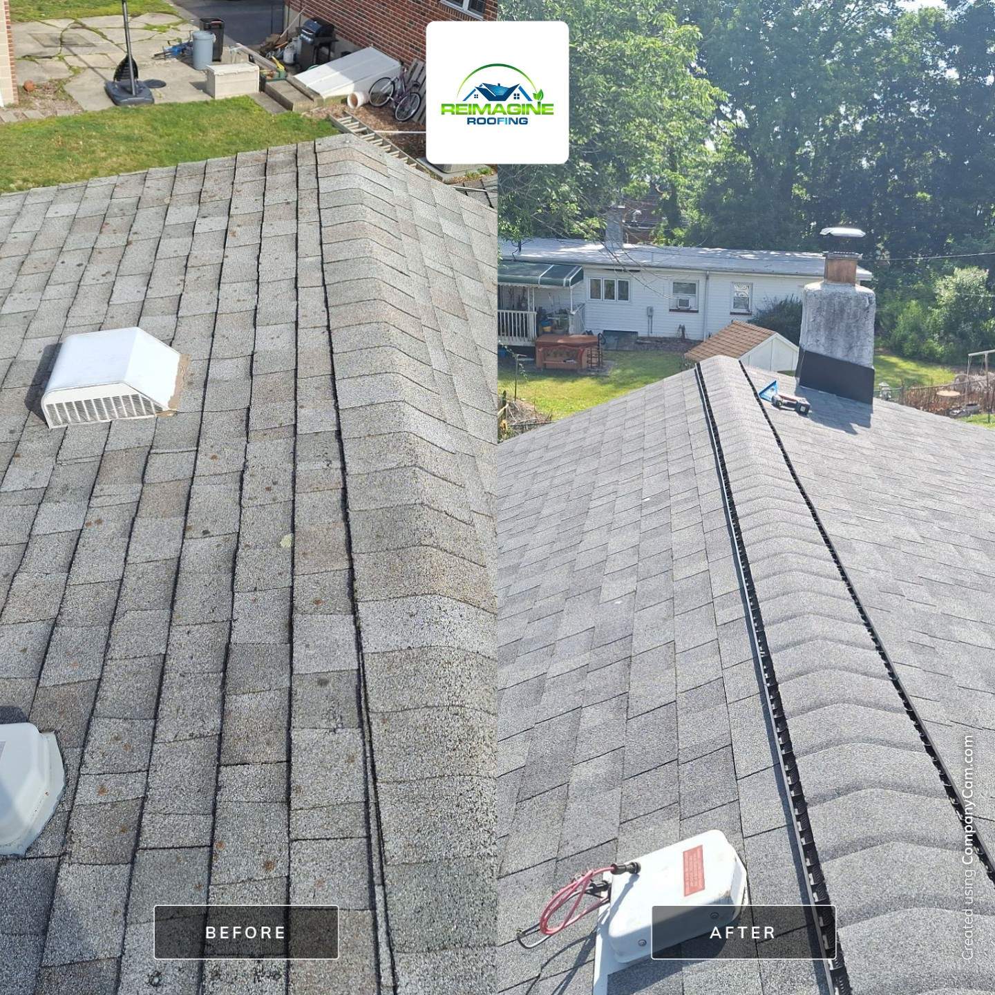 Silver Birch Shingles by Reimagine Roofing
