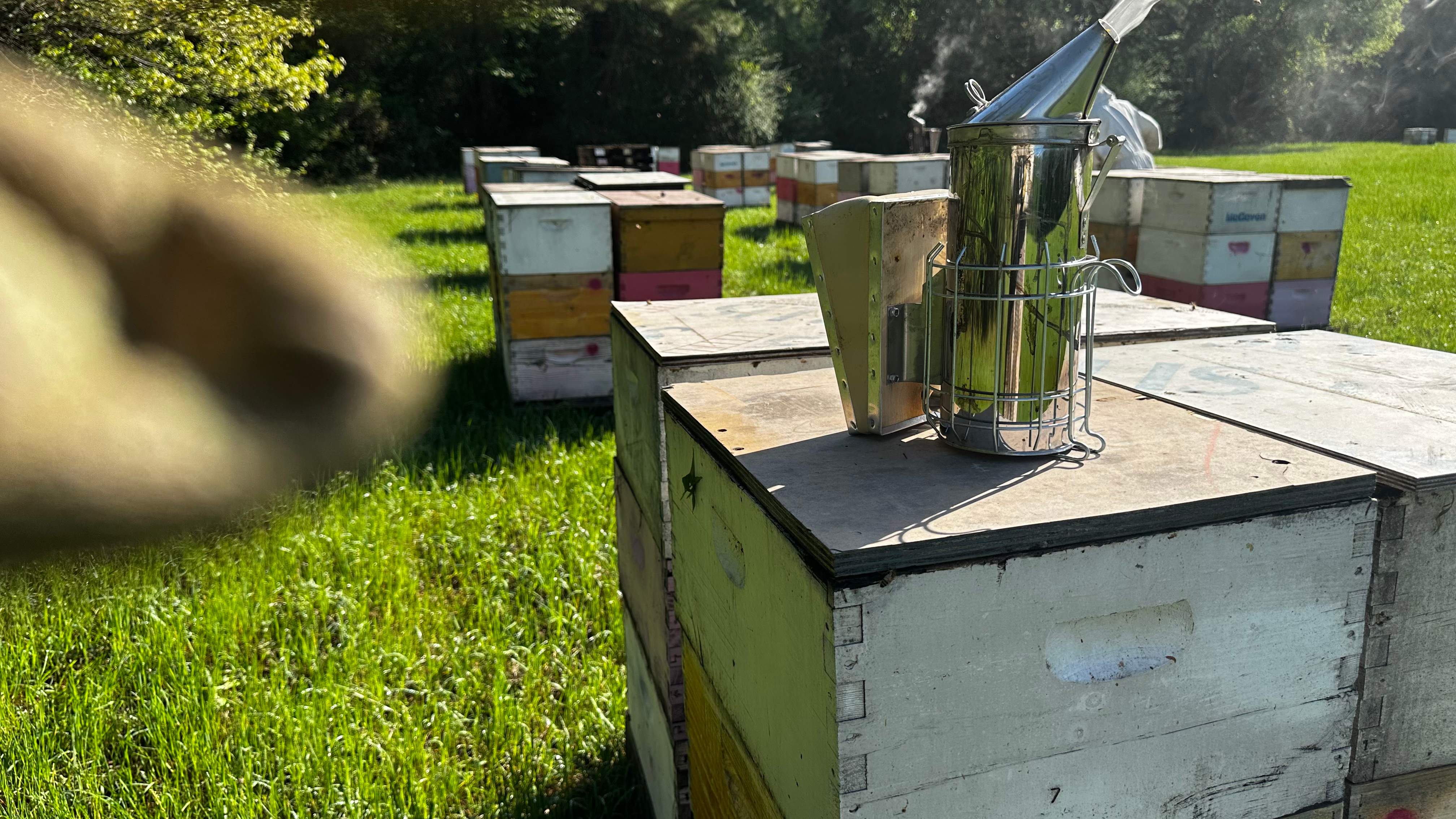 Traylor's Hay Meadow Apiary by Rockwall Honey Bee Company