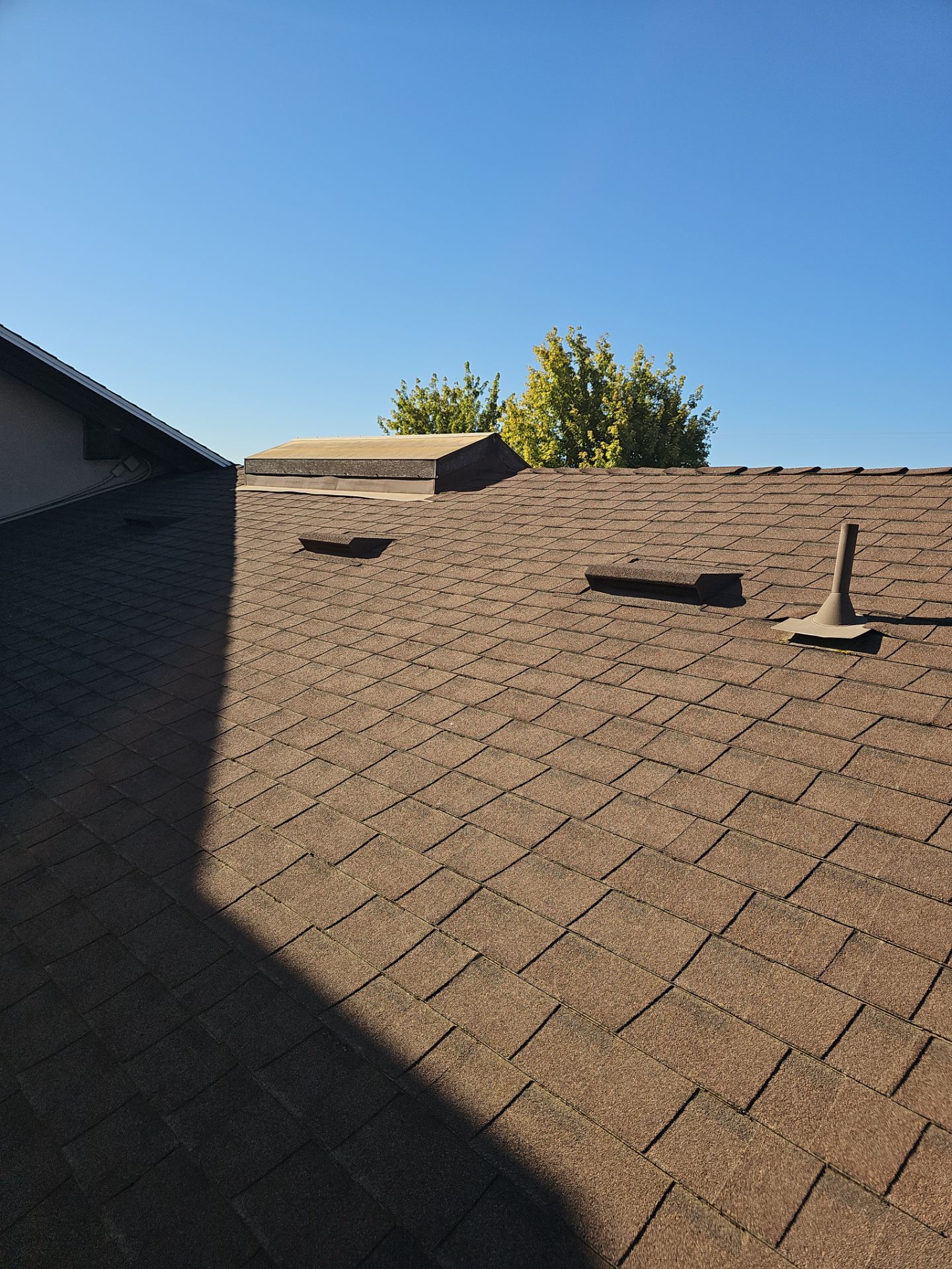 Reroof - Hinton Ave, Delhi by Econo Roofing