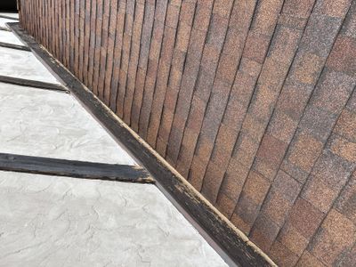 Turtle Shell gutter protection installation in Naperville, IL 60563, photograph 15