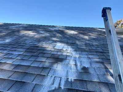 Roof Rejuvenation using Roof Maxx Treatment