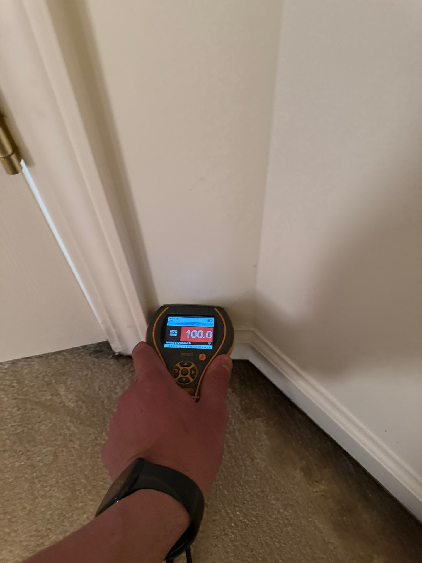 Project in West Bloomfield by EzDry Water Mitigation & Property Restoration