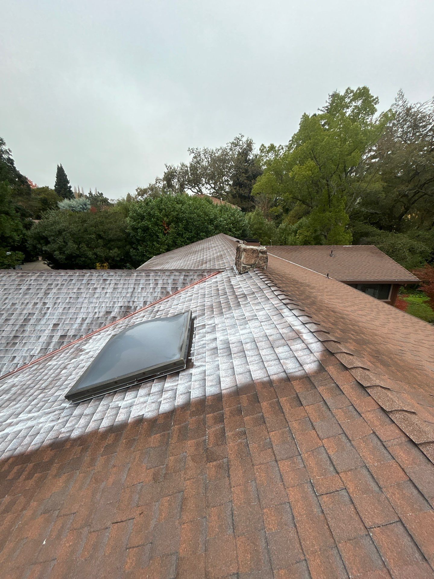 Roof Rejuvenation using Roof Maxx Treatment by Roof Maxx of Folsom