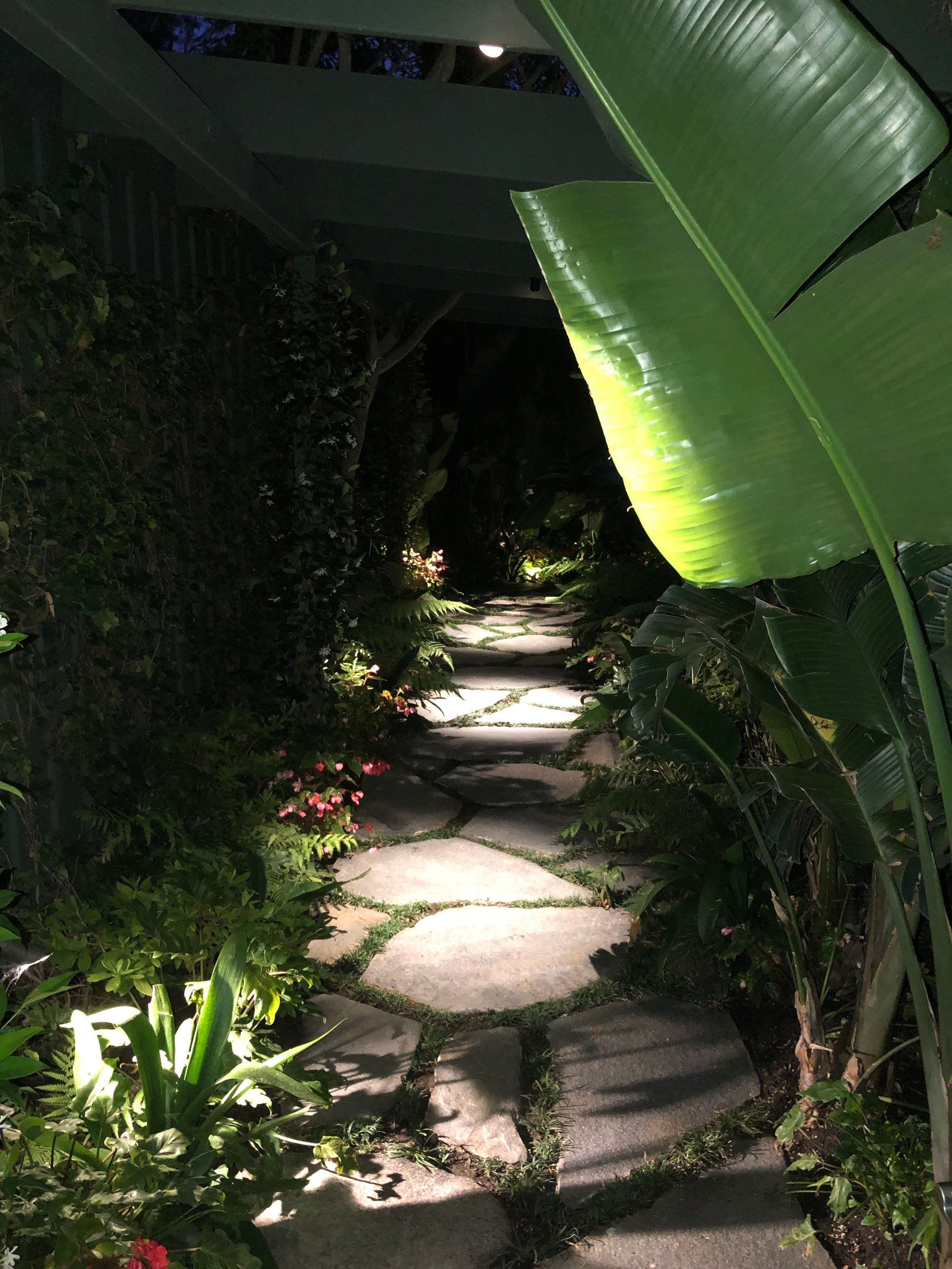 Outdoor AV and Landscape Lighting in Malibu by Outdoor Lights + Shades