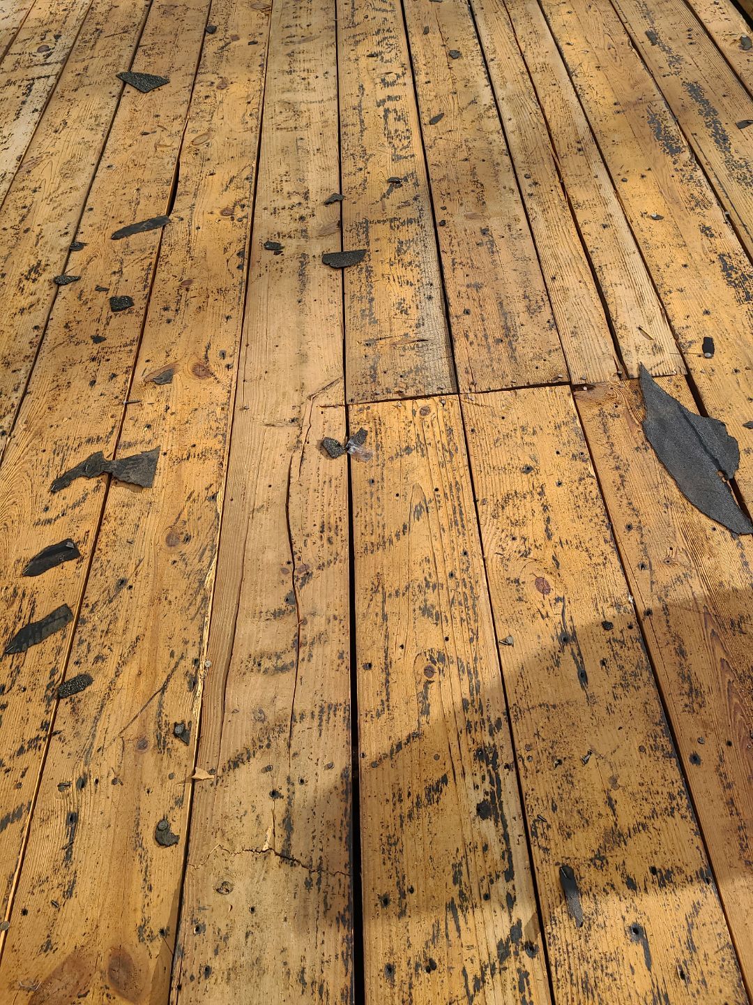 Alexandria CertainTeed Landmark Pro Roof in Max Def Charcoal Black by RM Banning, Inc.