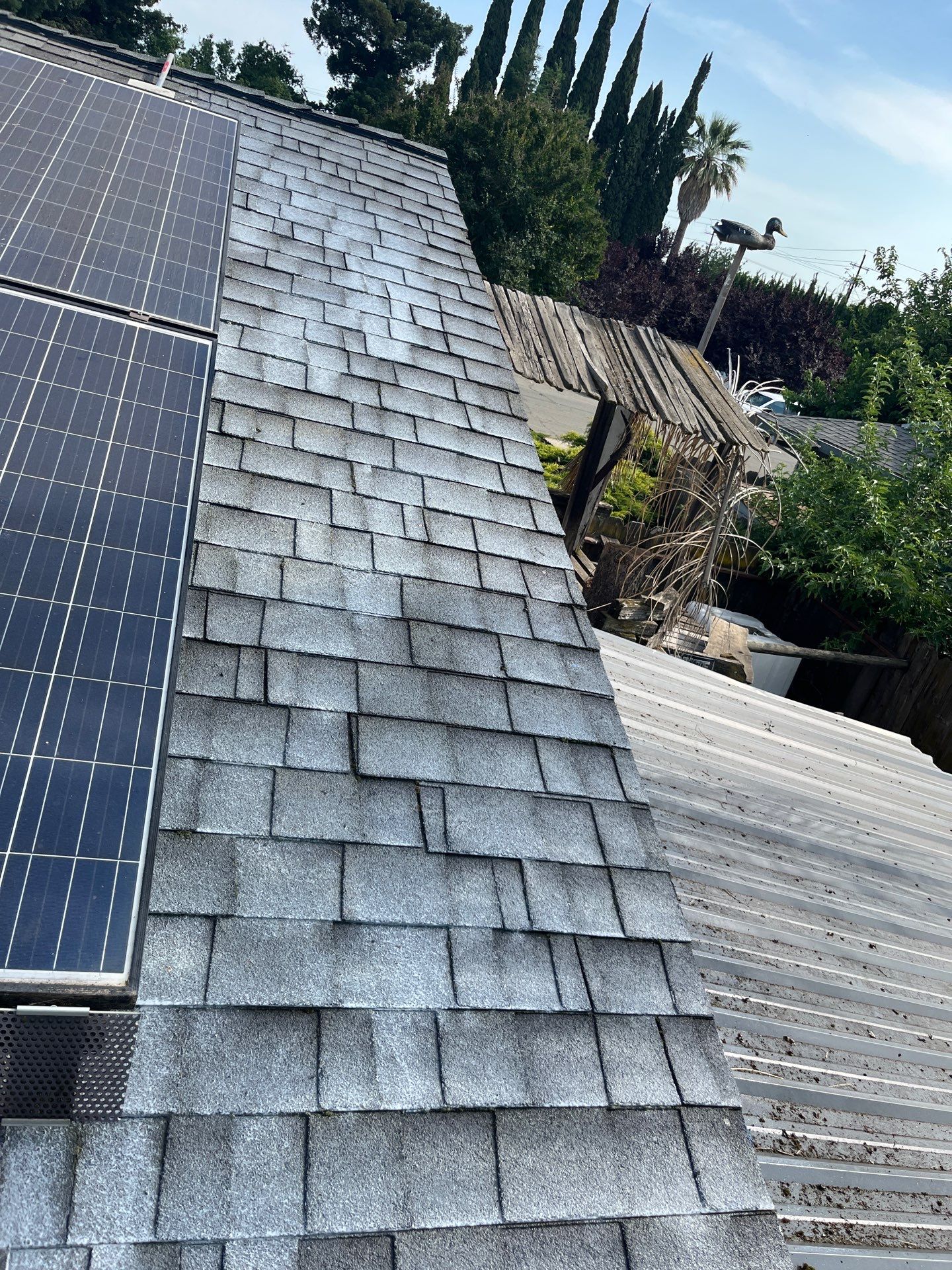 Roof Rejuvenation using Roof Maxx Treatment by Roof Maxx of Folsom