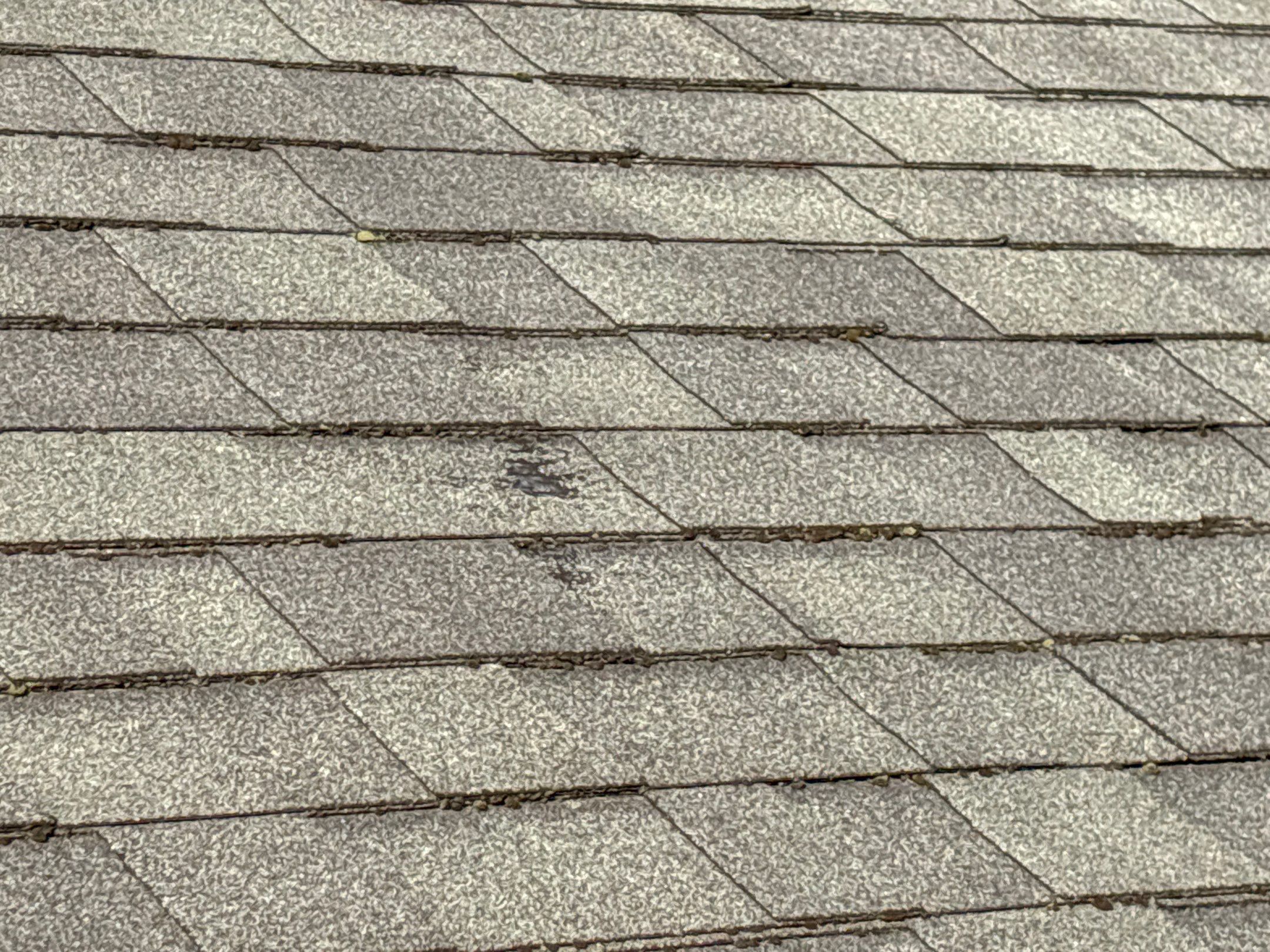 Roof Replacement using Owens Corning Chateau Green by 180 Contractors