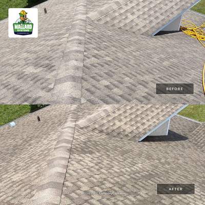 Residential Shingle Roof Cleaning in Deltona