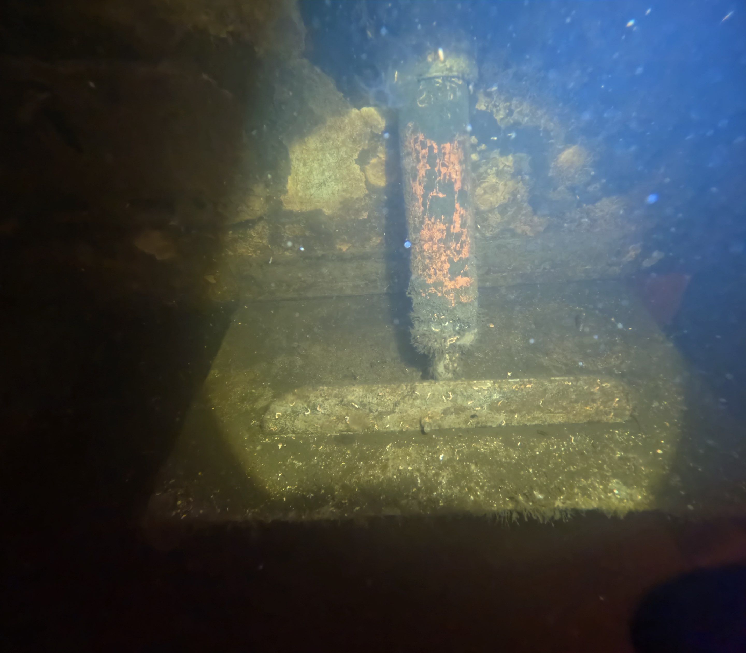 Project in North Fort Myers, FL by Florida Hull Cleaning 