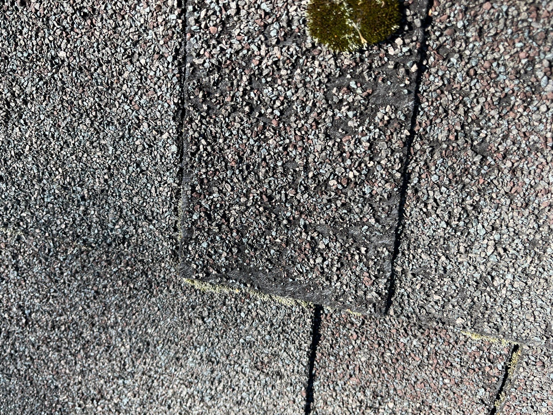 Roof Replacement using Owens Corning Summer Harvest by 180 Contractors