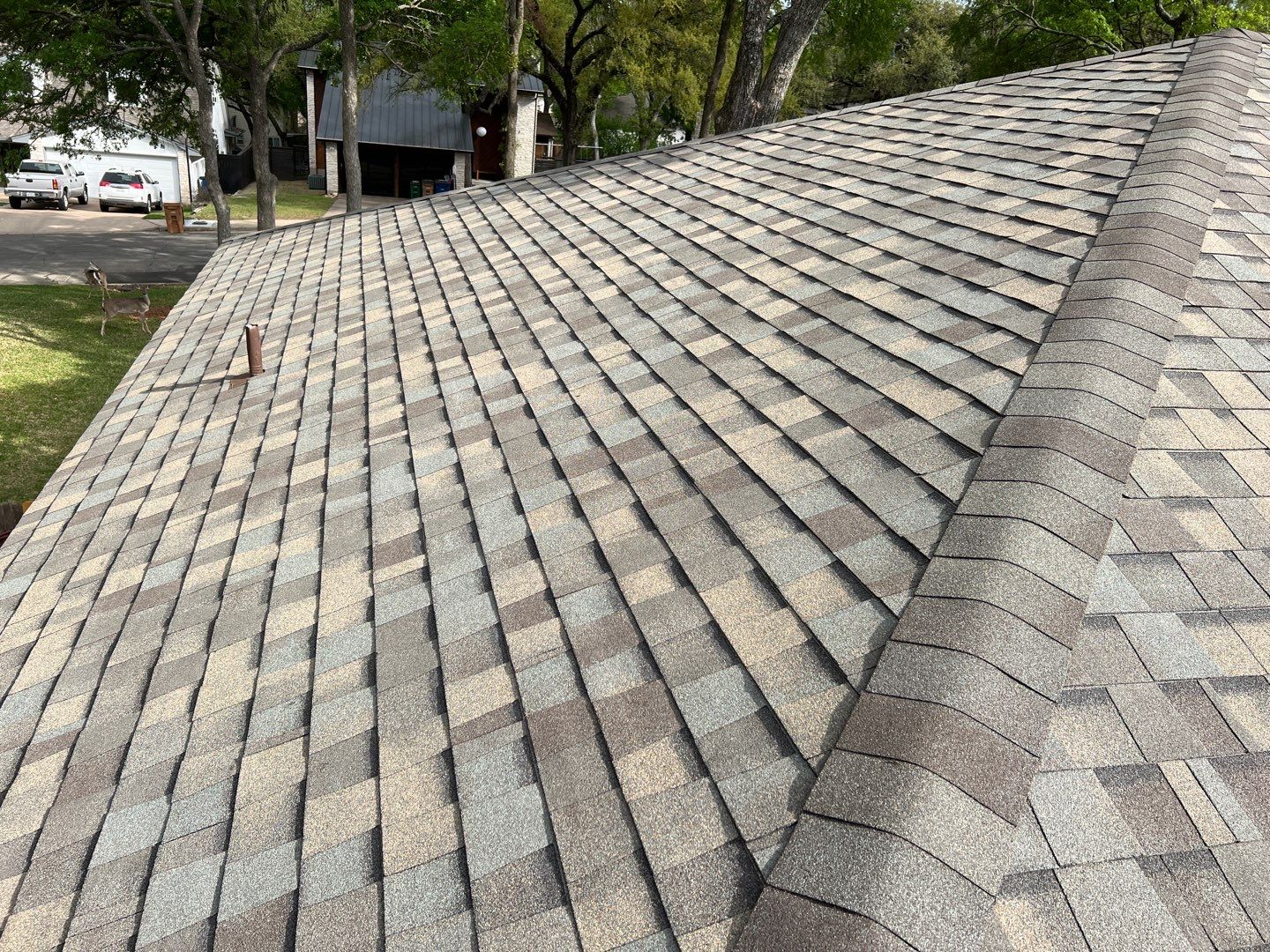 Winter storm 2023 with tree damage by Oakwood Roofing and Construction, LLC