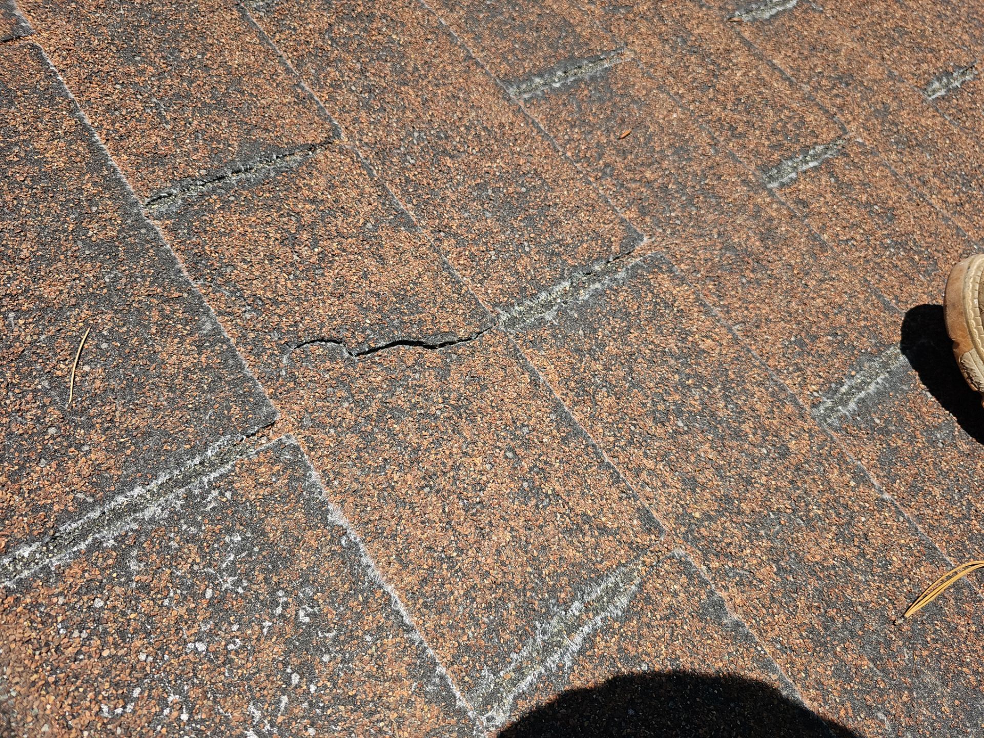 Malarkey Shingles in Arizona by Weather-Tite Exteriors LLC