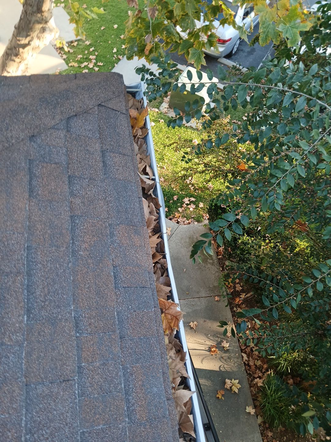 HOA gutter cleaning before photo.