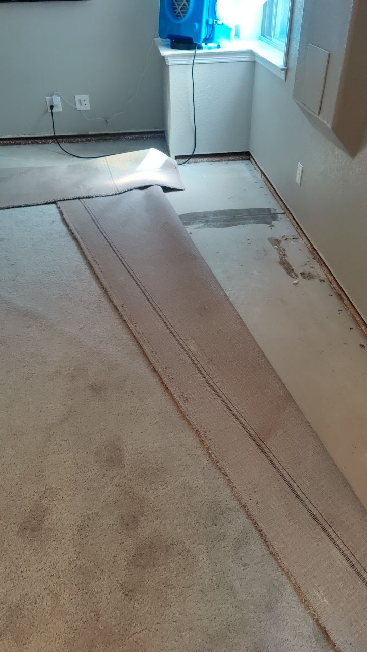 Mold Remediation  by Accountable Home Services