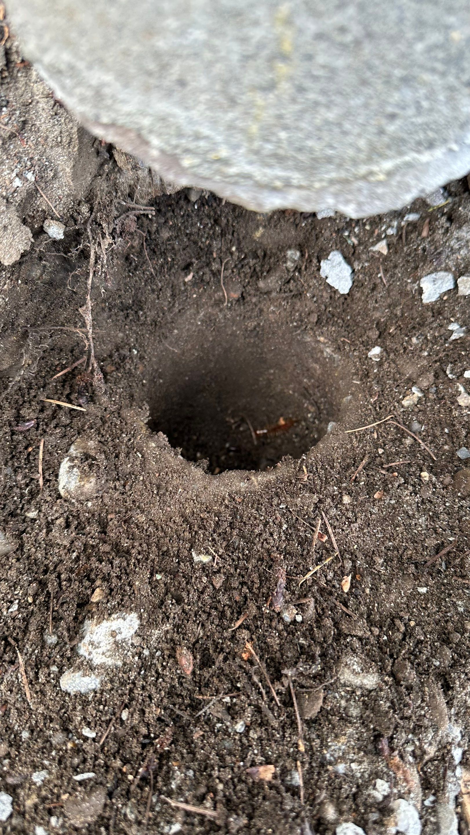  April | Driveway Repair, Concrete Project  by Jireh Asphalt & Concrete Inc 