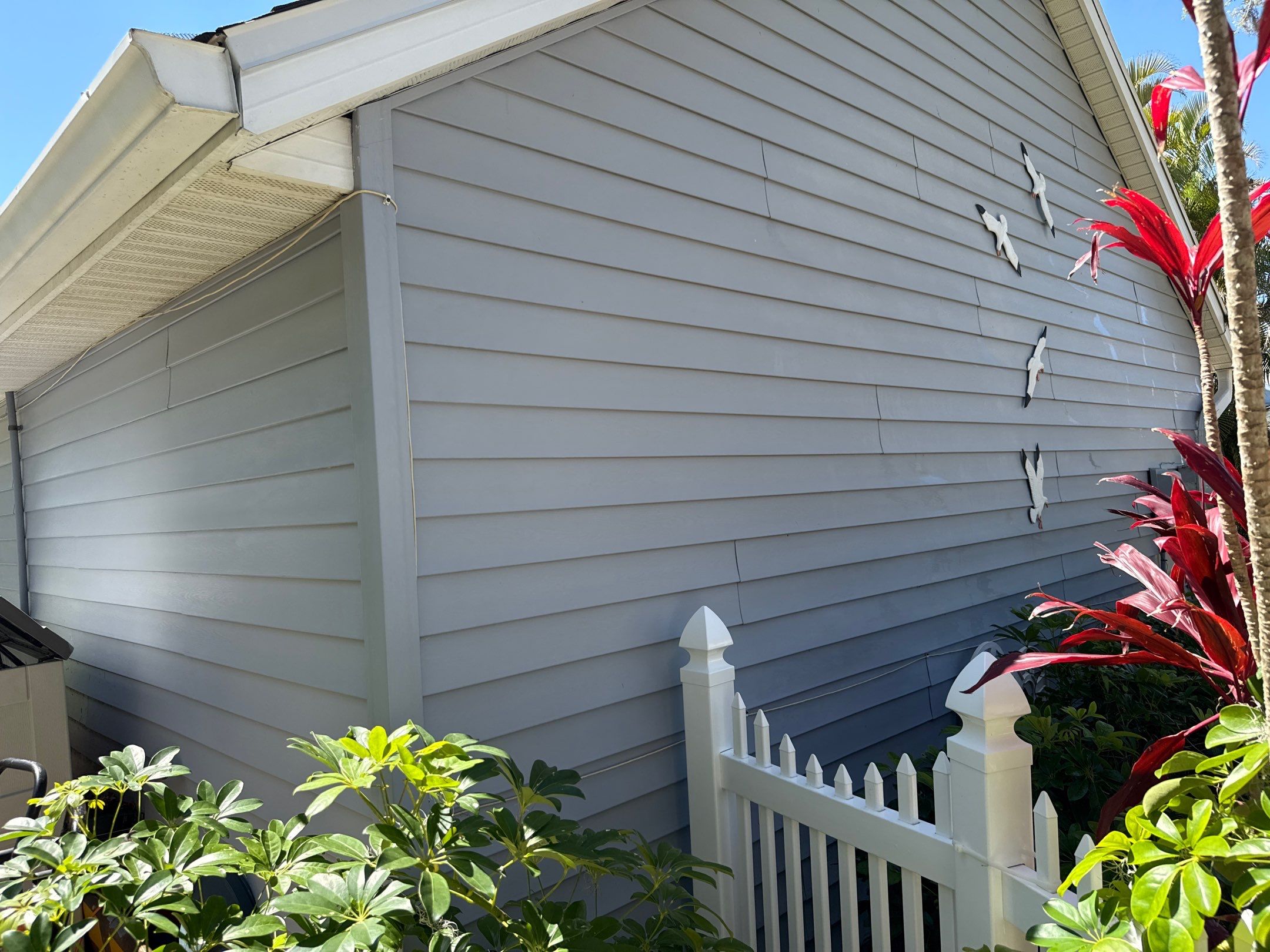 🏡 From Green to Clean! 🌊 Epic House & Pool Cage Cleaning on the Manatee River | Ellenton, FL 💦 by Sunshine AquaWash