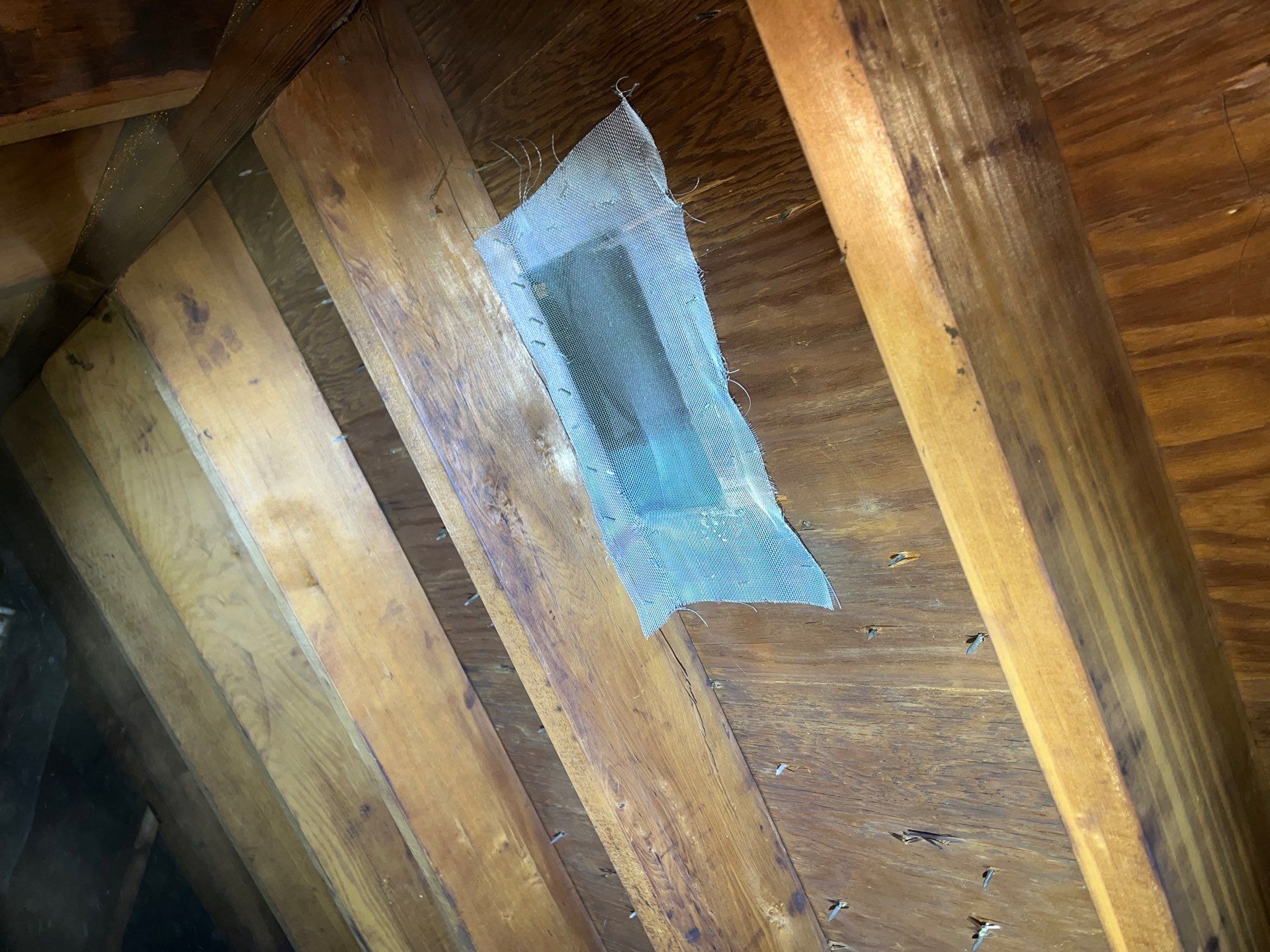 Pittsburgh Attic Insulation Upgrade and Comprehensive Mold Remediation by Home Environment Solutions