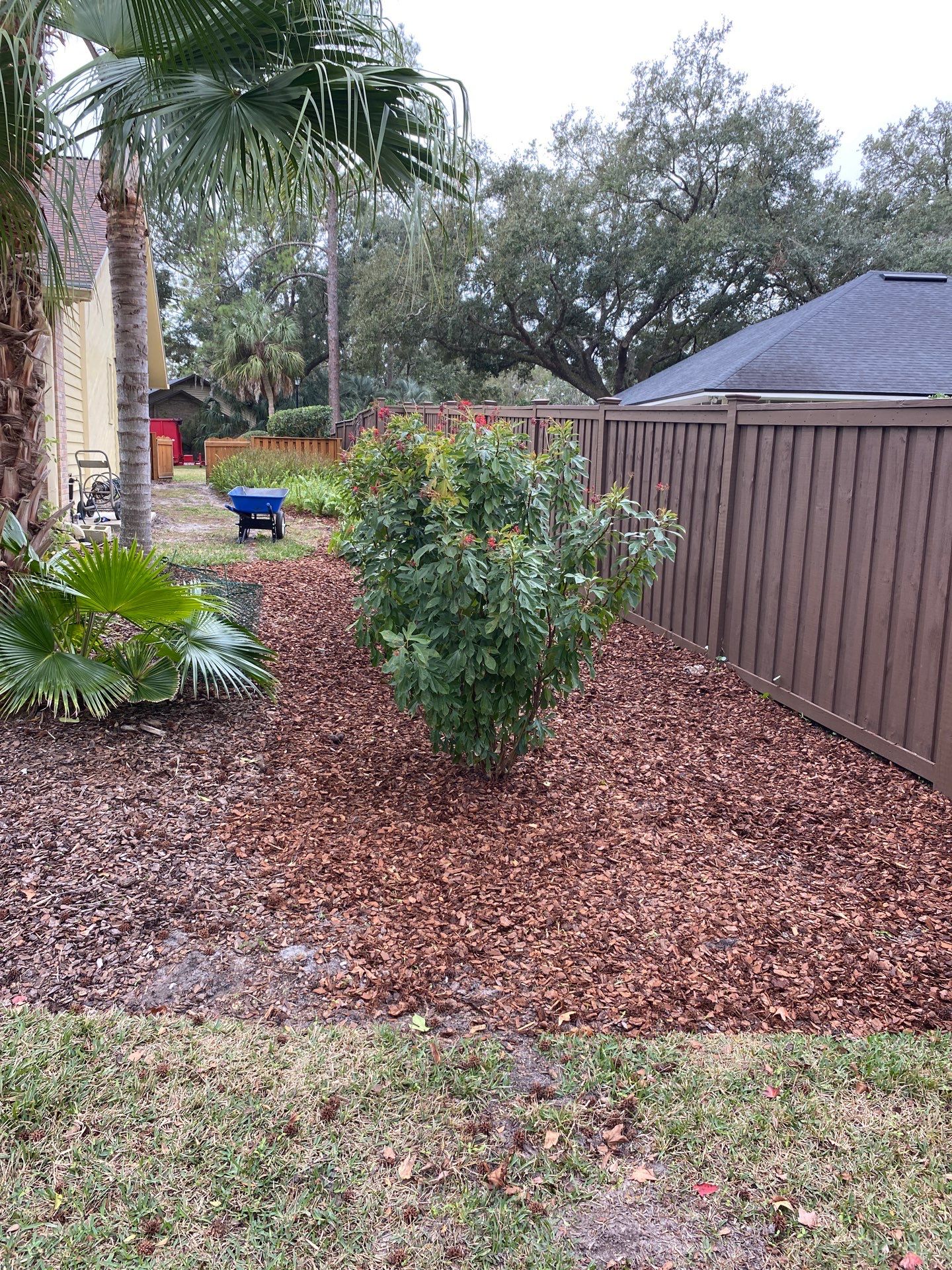 Deerwood Resident | Landscape Freshen-Up Project by ProGreen Services