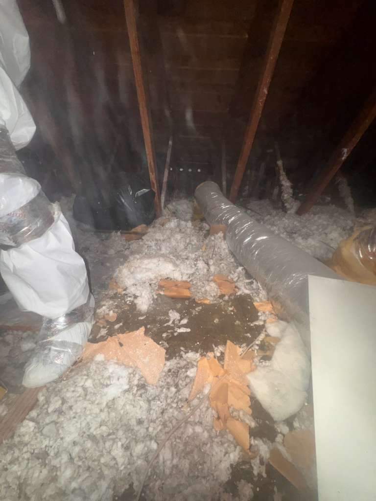 Project in Newport Beach by Advanced Attic Solutions