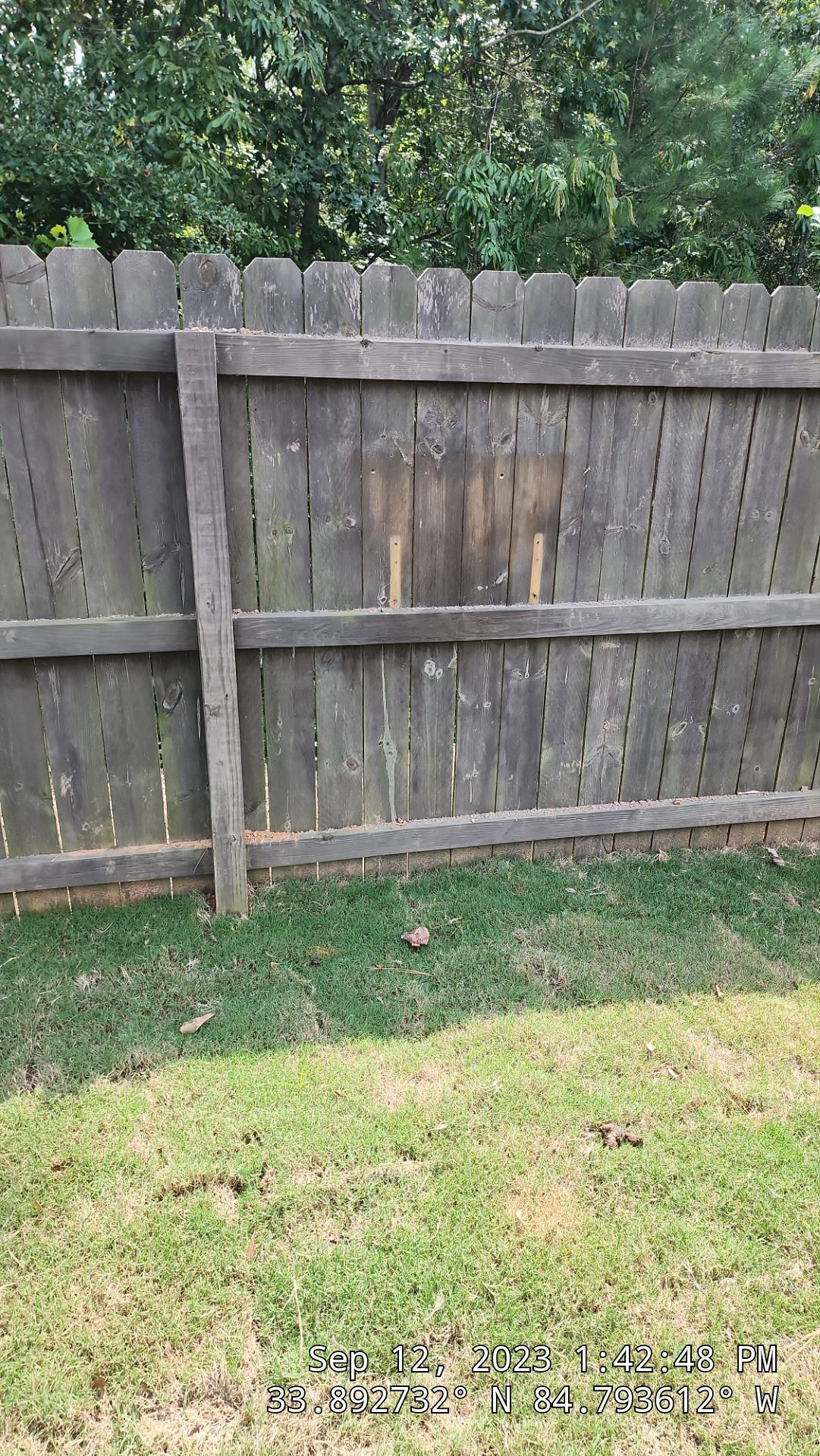 Fence Restoration using Chocolate by SSE by Titans of Timber Fence & Stain