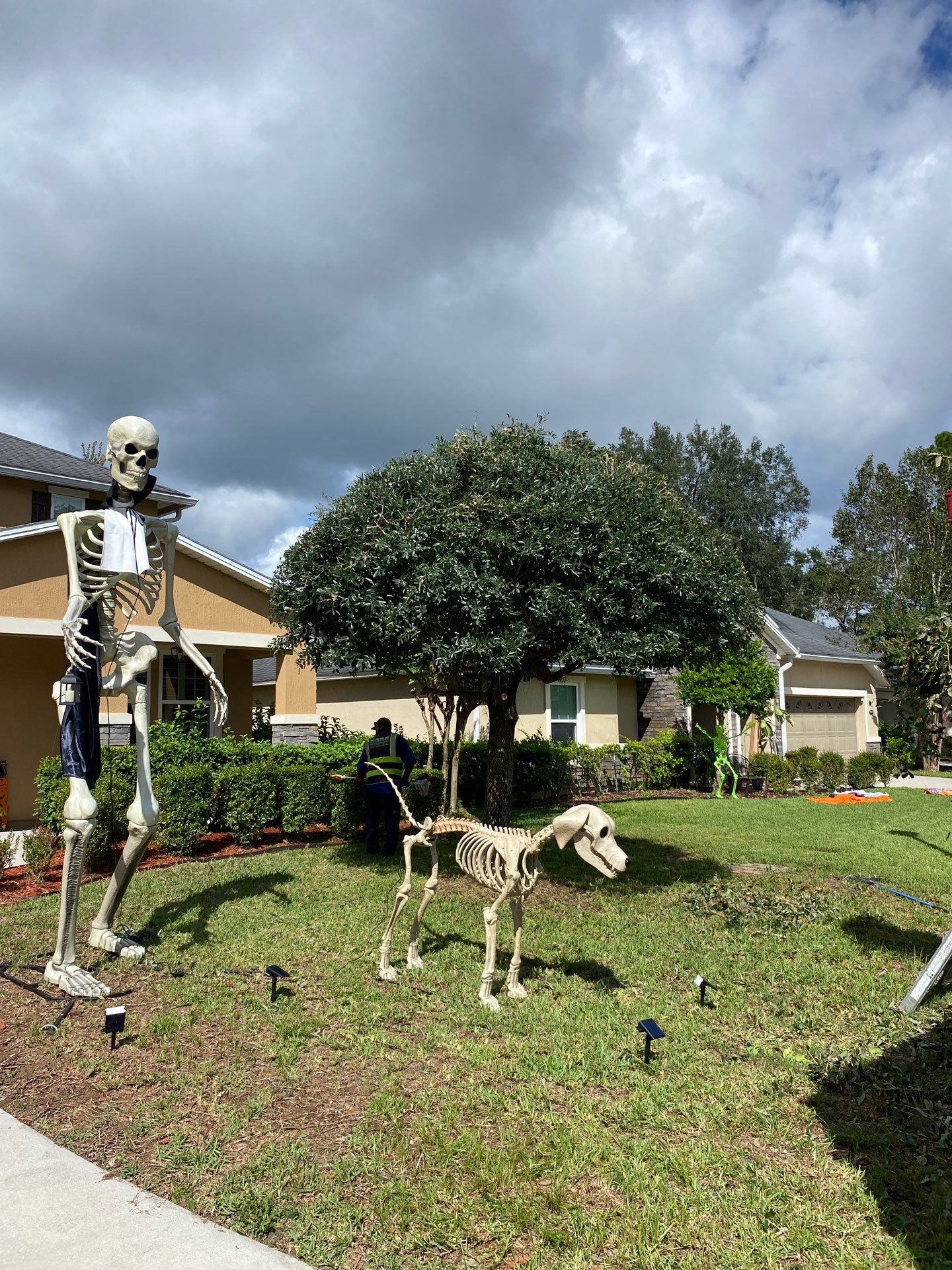 Property Clean Up | Residential by ProGreen Services