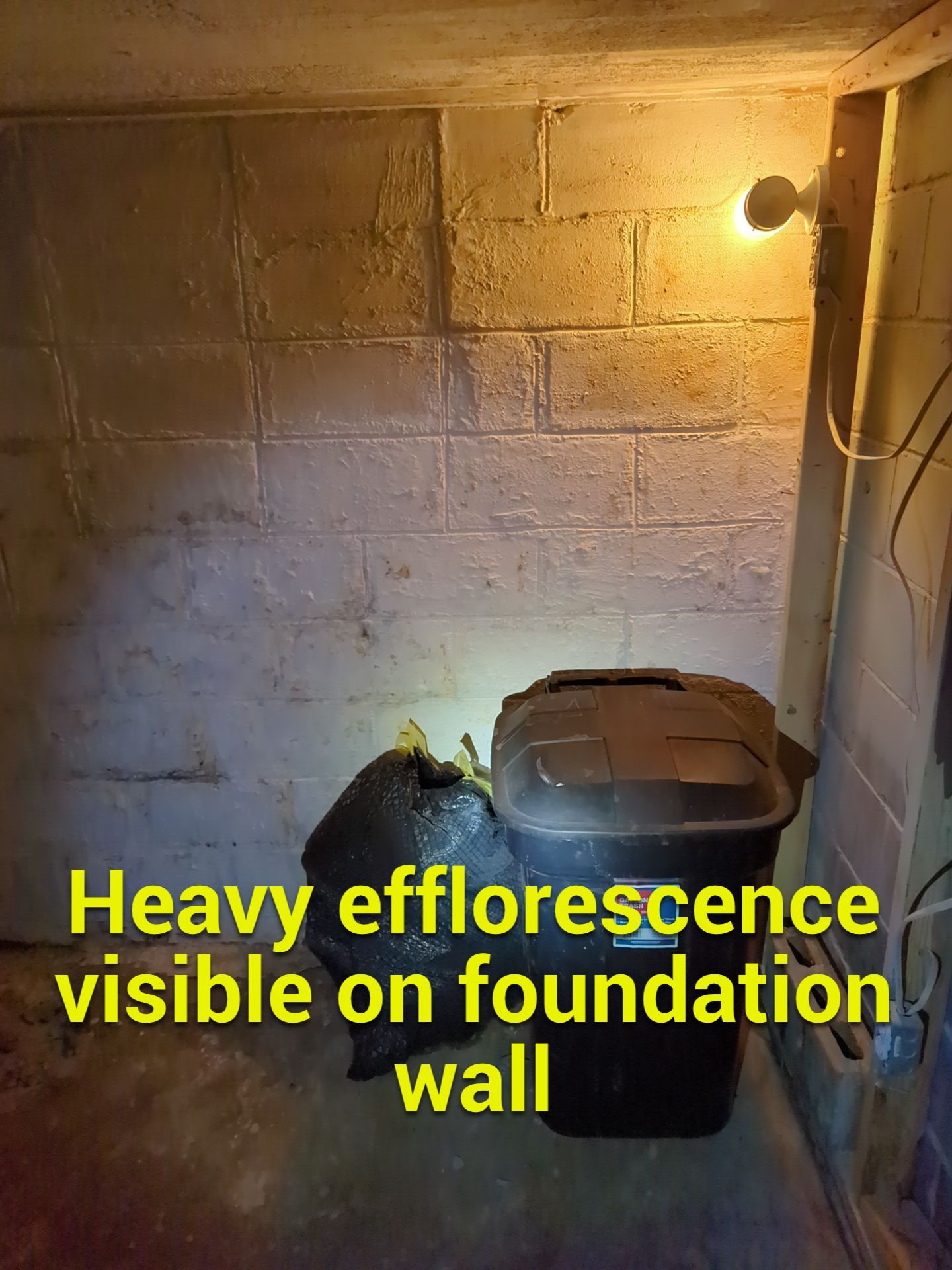Bowing Wall using Fortress Invisibeams  by ACE Waterproofing & Basement Solutions