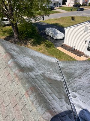Project in Richmond
