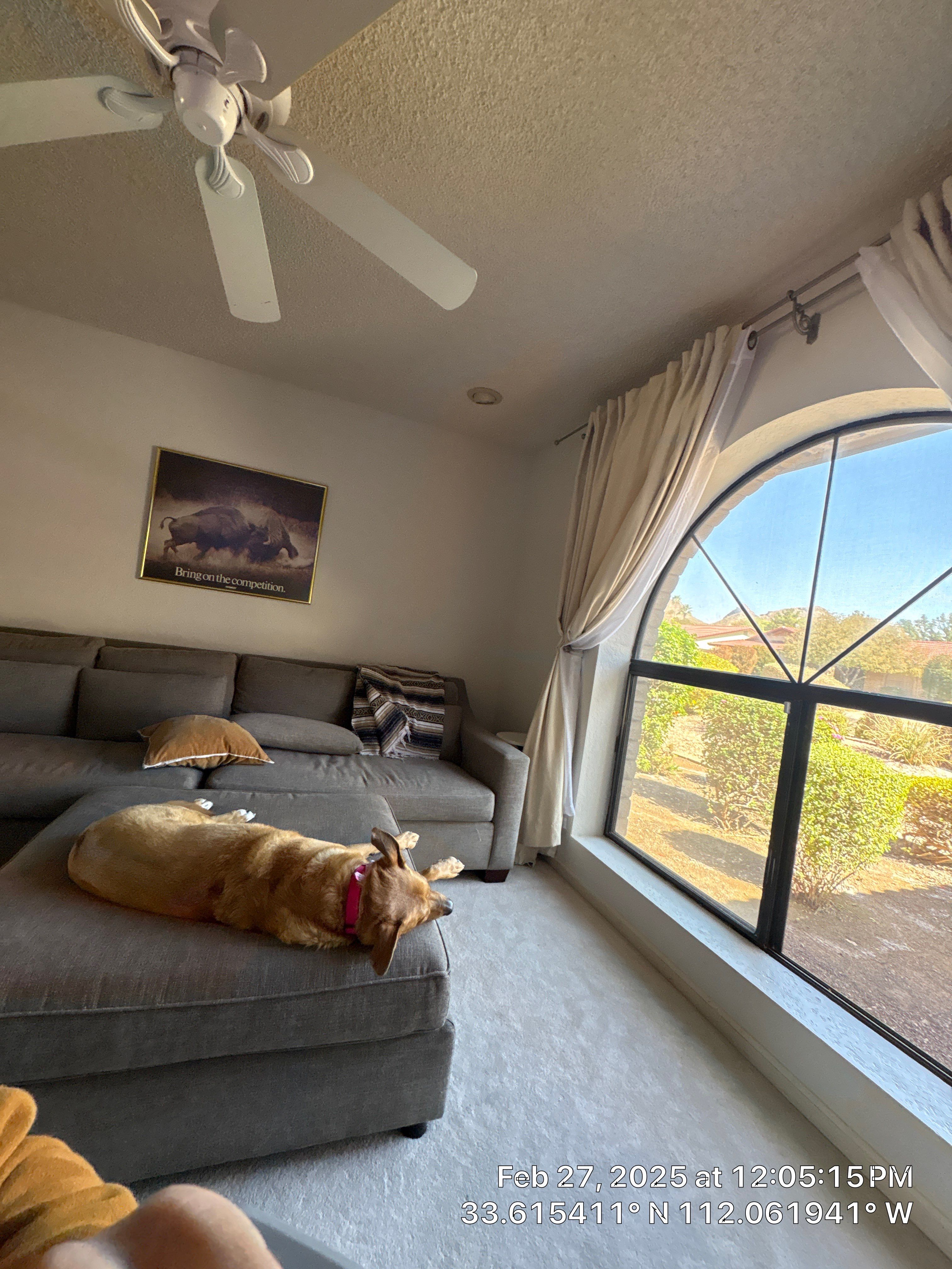 Electrical Installation using Drywall by CompanyCam Sales Demo