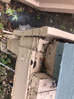 Project in Centennial