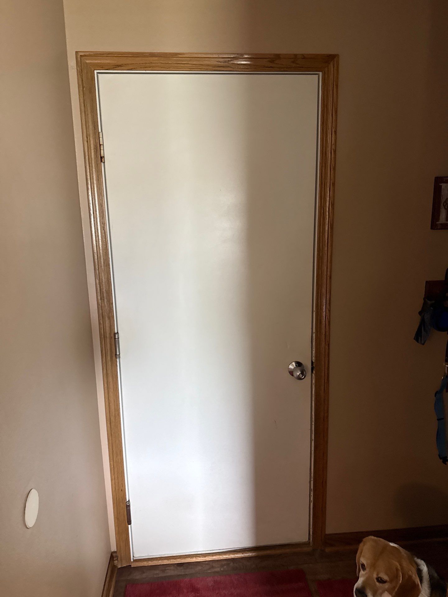 Garage Repaint Including Doors by Midwest Paint LLC