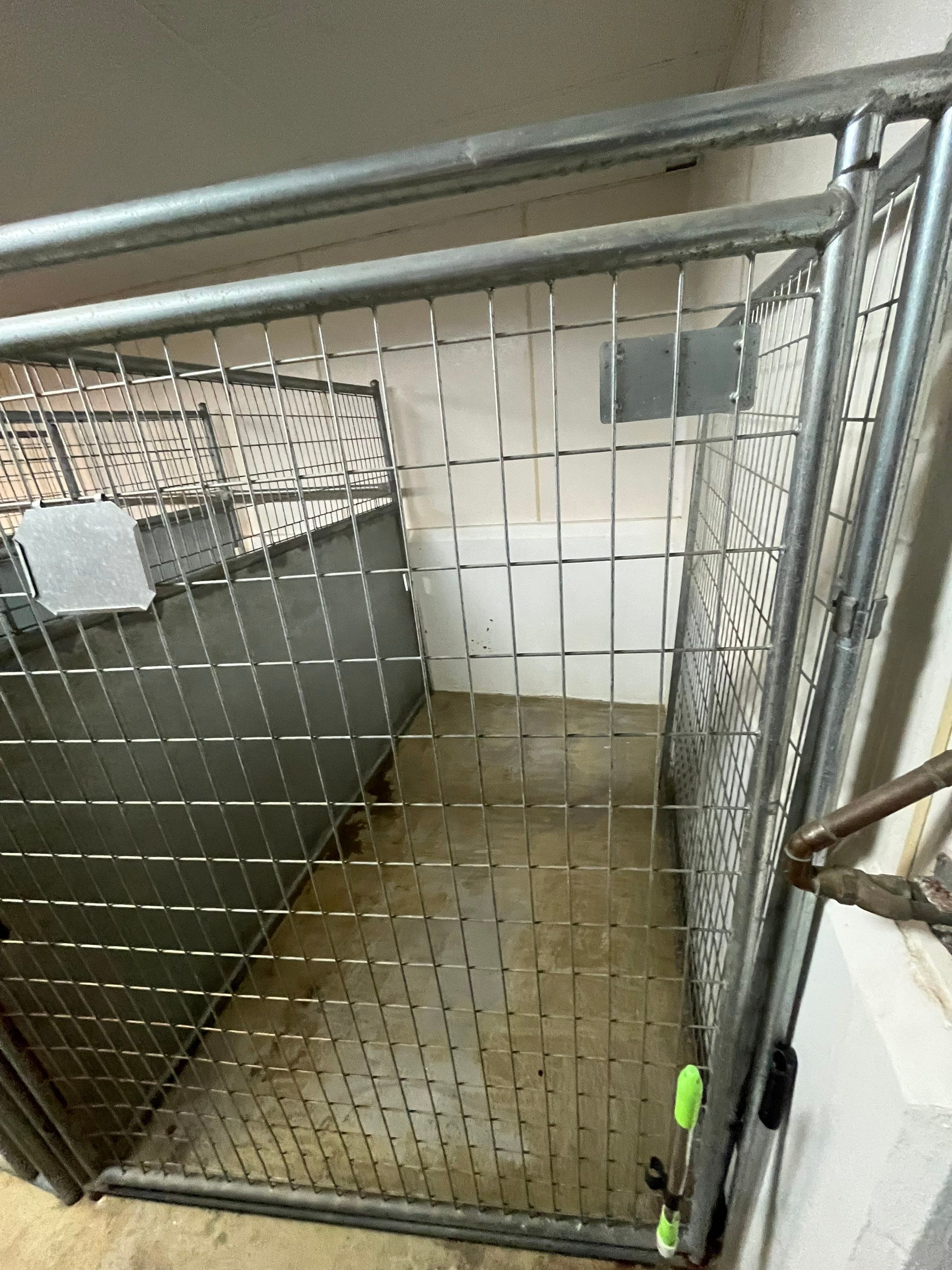 Durable Commercial Concrete Coatings for Brandon Valley Veterinary Clinic by Select Painting, Coatings & Garage Cabinets
