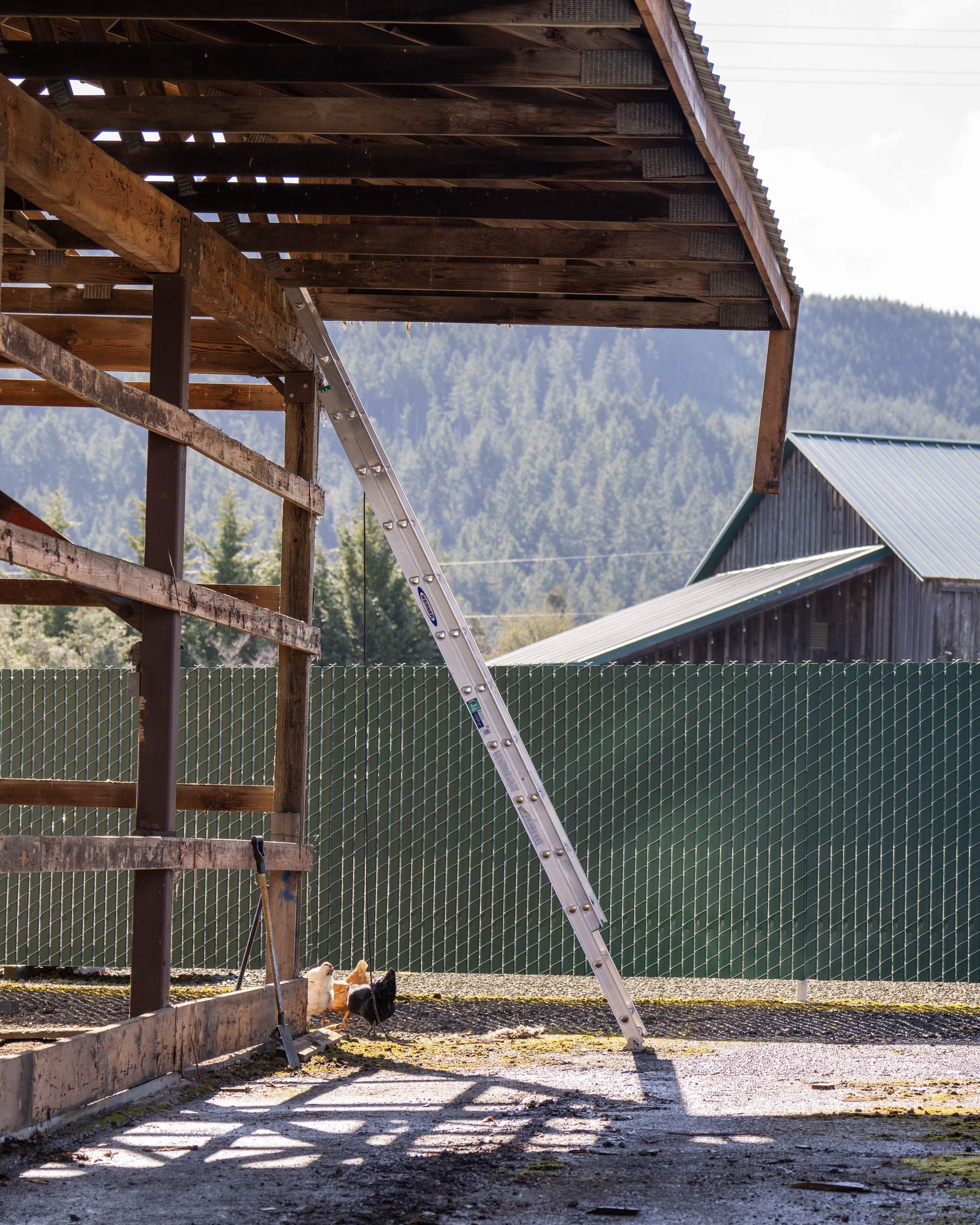 Metal Siding Installation by Villegas Remodeling, LLC