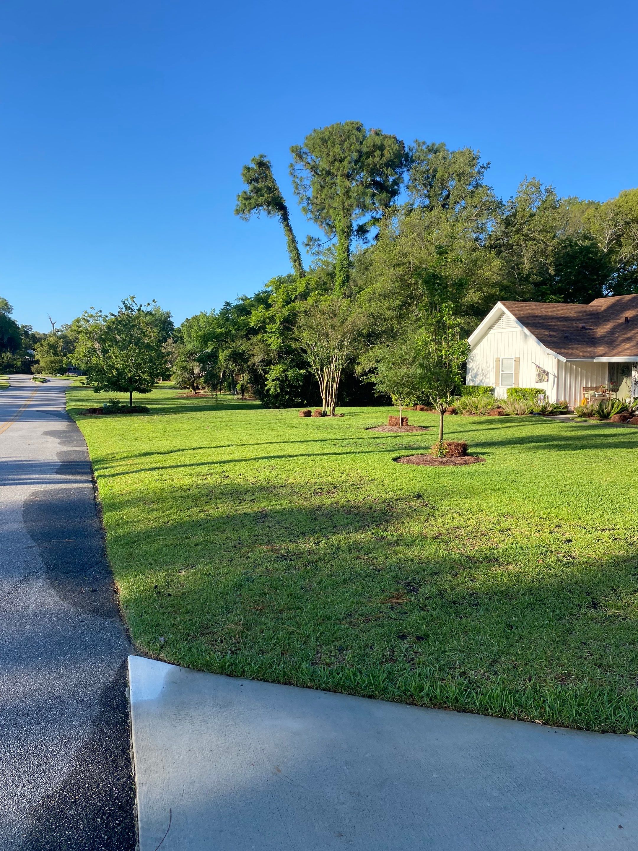 Deerwood Resident | Pine Straw & Topsoil Install by ProGreen Services