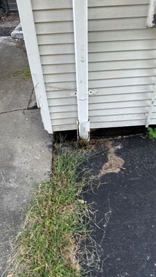 Turtle Shell gutter protection installation in Morris, IL 60450, photograph 8