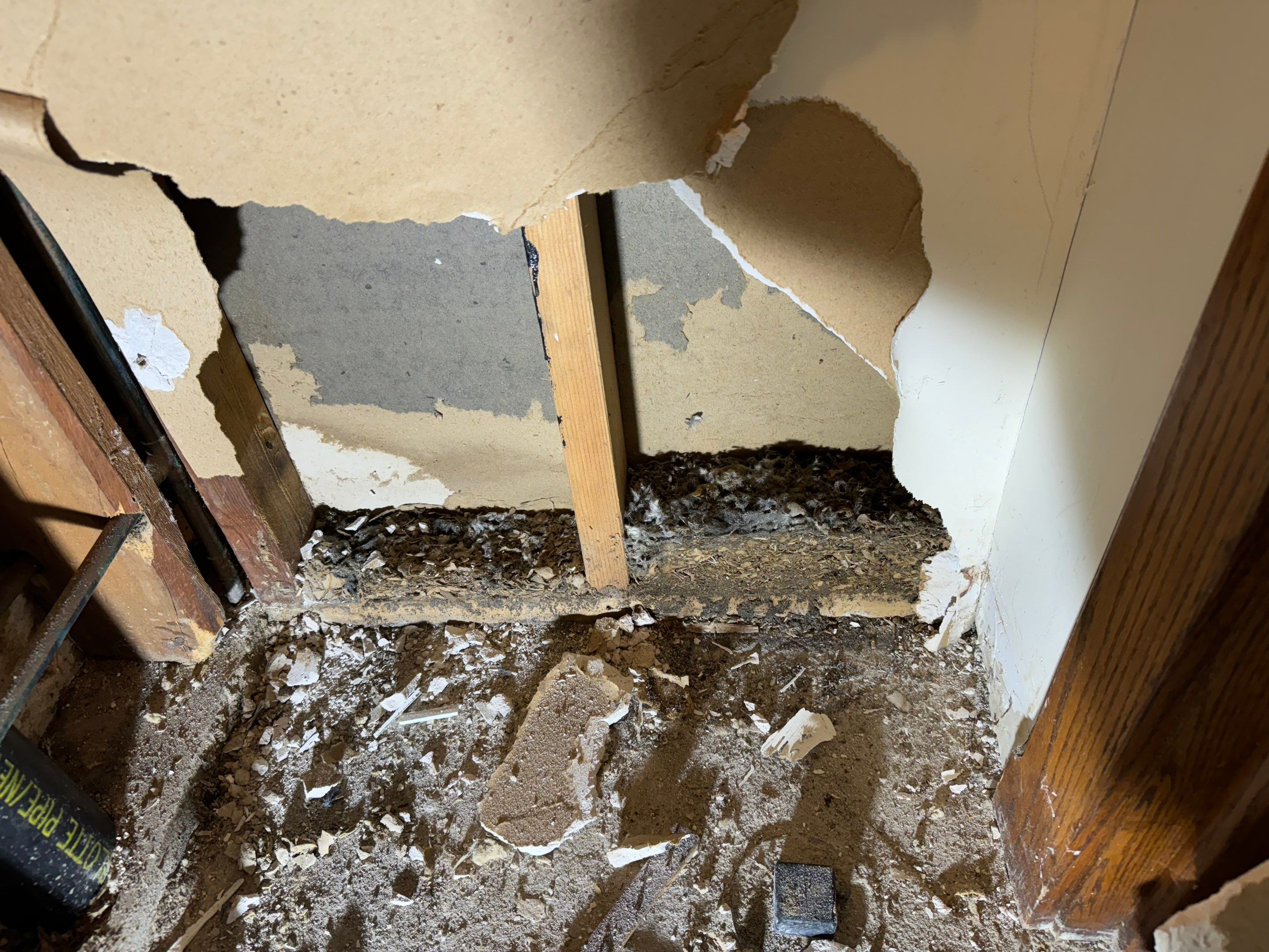Major Basement Remediation / Restoration by Home Guarantee, LLC