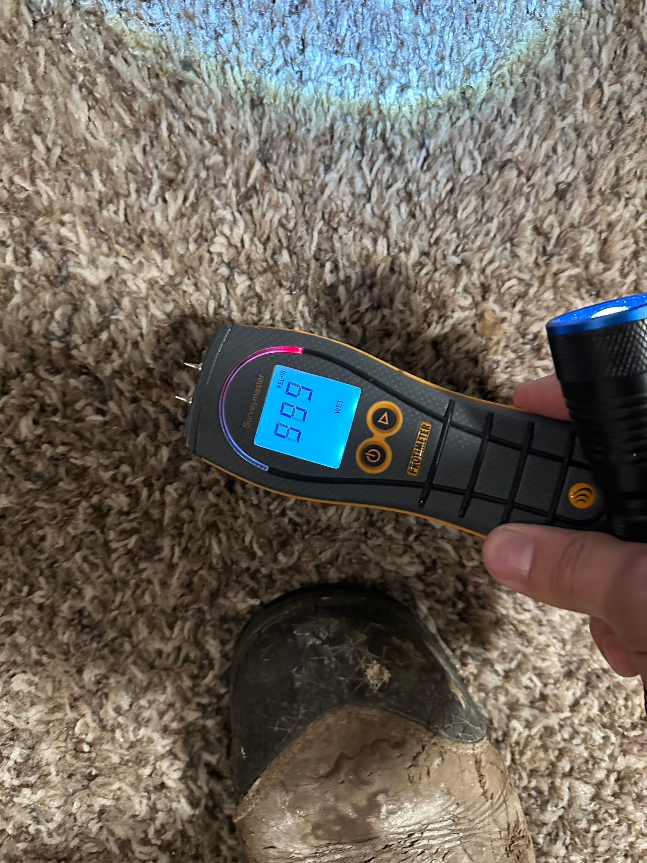 Water Damage in Highlands Ranch by Alpha Restoration 