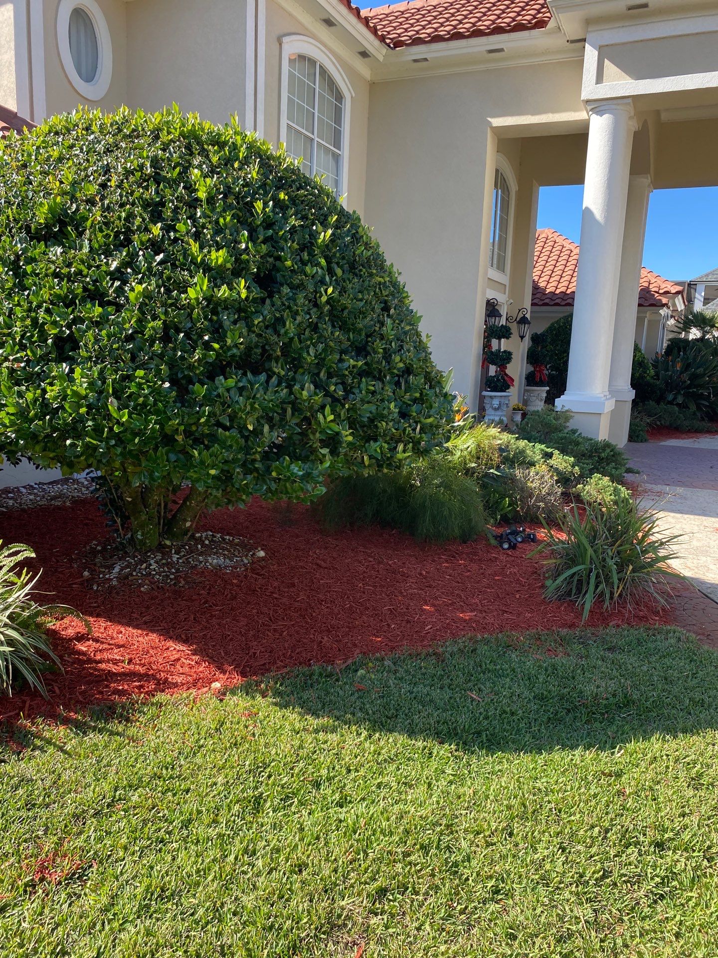 Deerwood Resident | Palm Trimming & Ground Cover by ProGreen Services