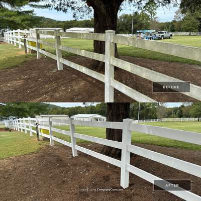 Gloria's Fence