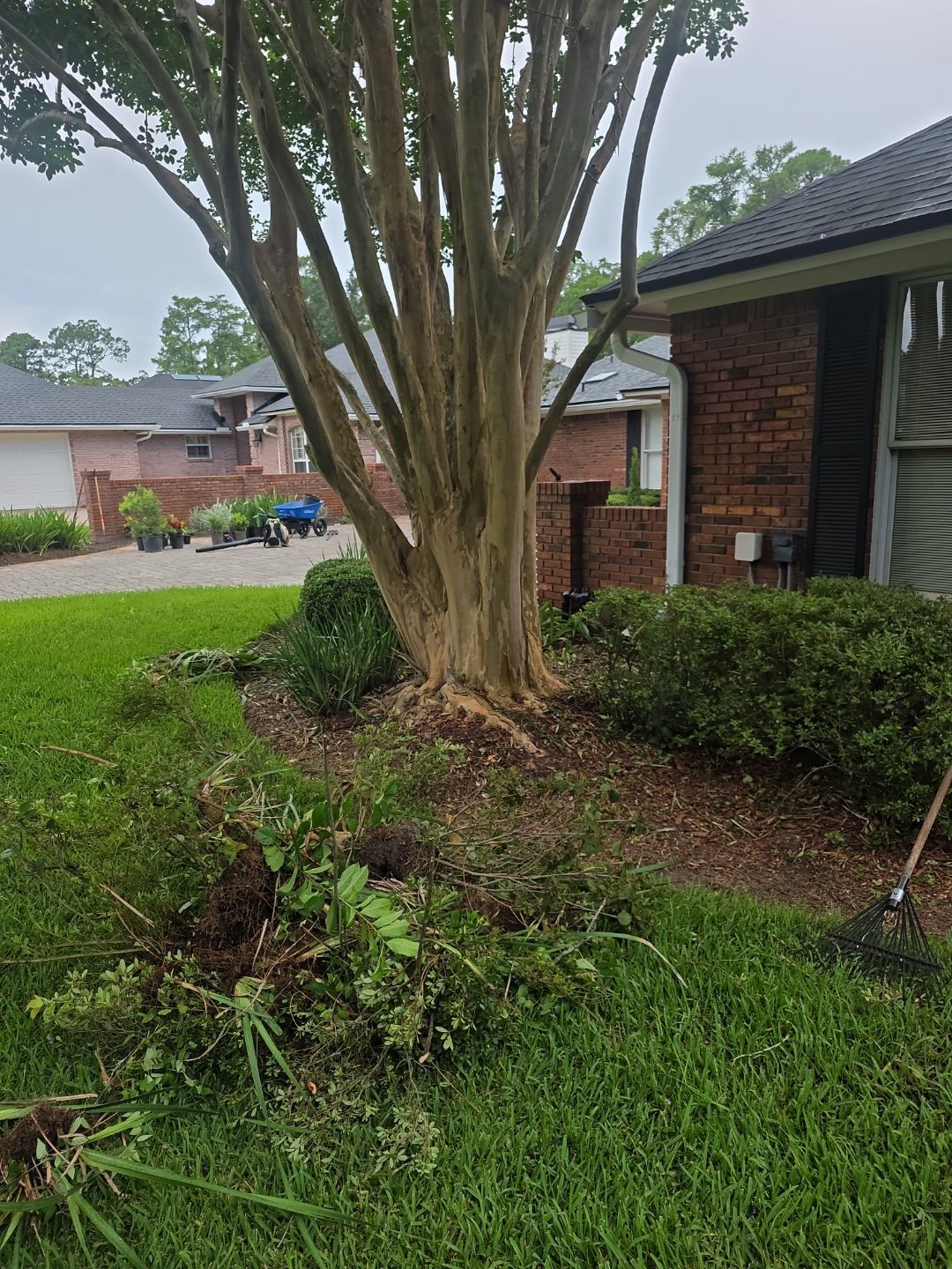 Deerwood Resident | Landscape Project by ProGreen Services