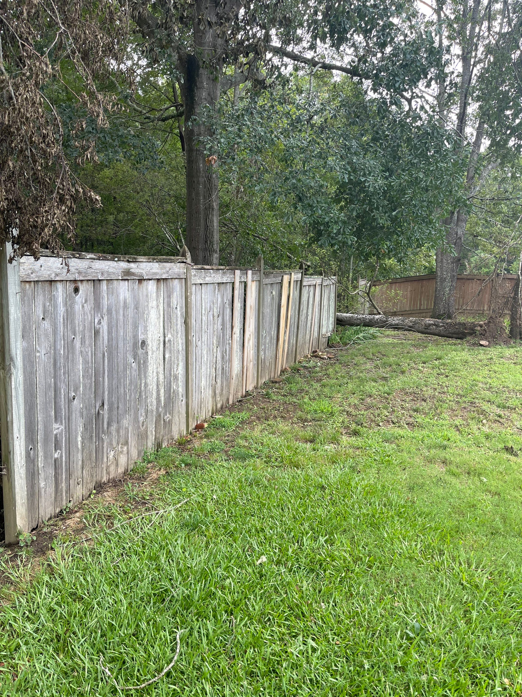 6ft Treated Pine Good Neighbor Fence by Roberson Construction LLC