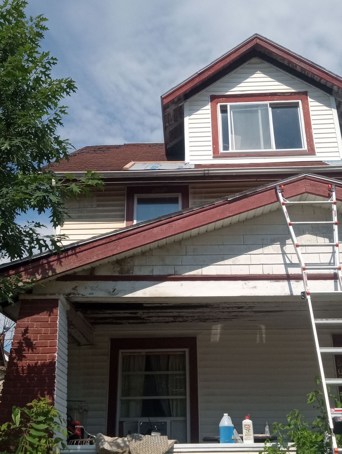 Jasmine Wilson by Silver Leaf Contracting 