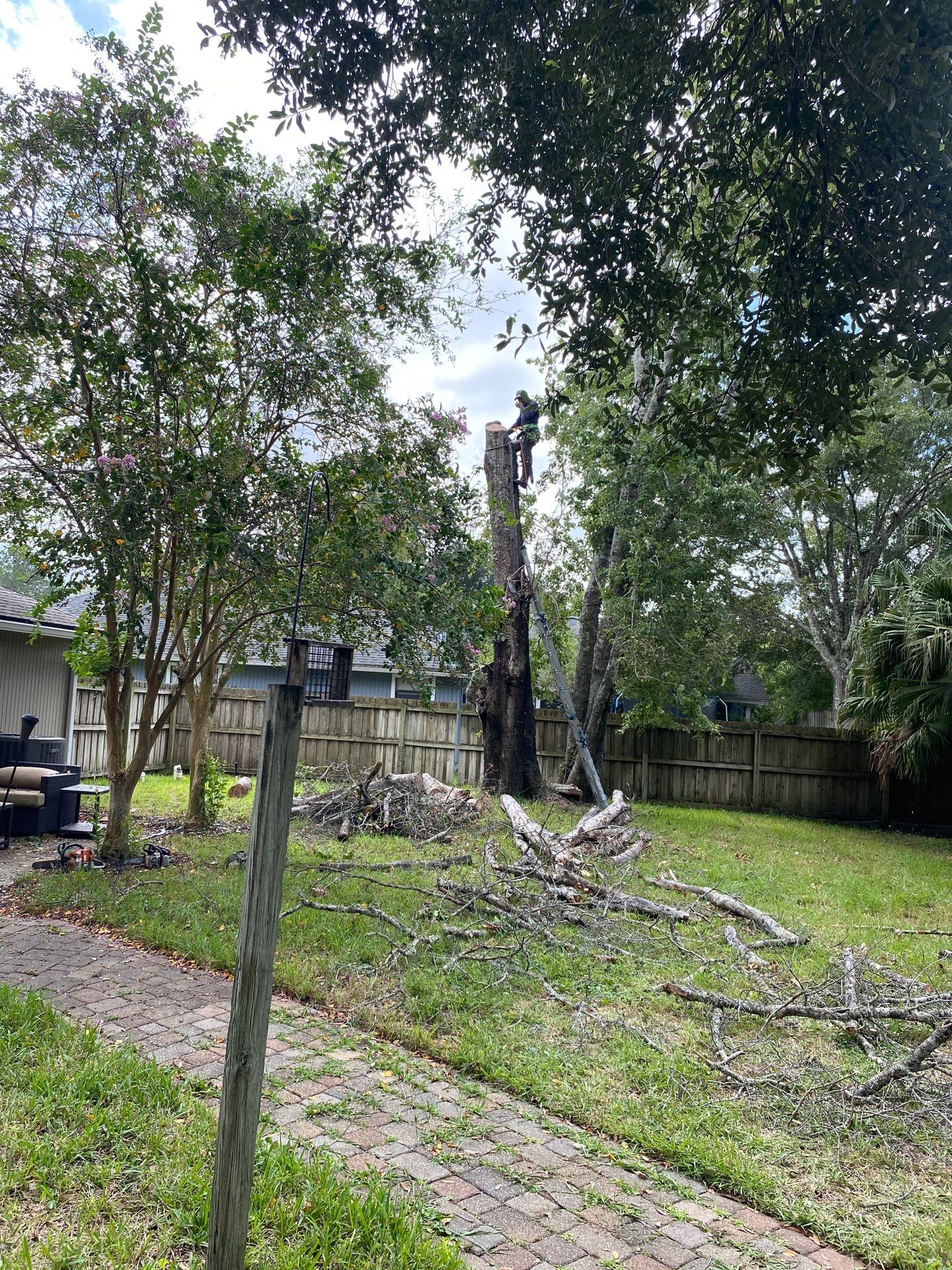 Tree Removal | Residential by ProGreen Services