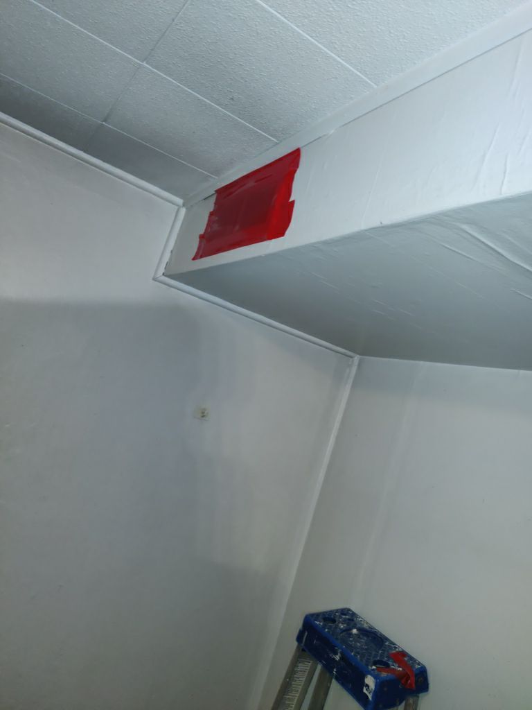 Mold Remediation in Basement by Accountable Home Services