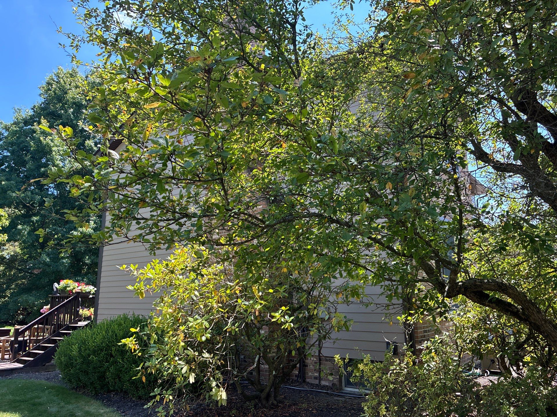 Full House James Hardie Lap Siding and Trim Renovation With Modern Dark Trim In Wexford / Mars PA by Ideal Siding Pittsburgh