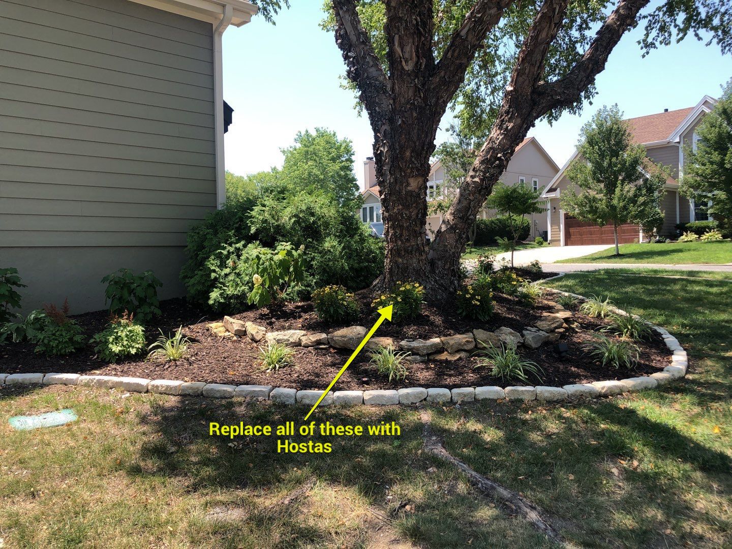 Front Yard Landscape by LAND ESCAPES LLC