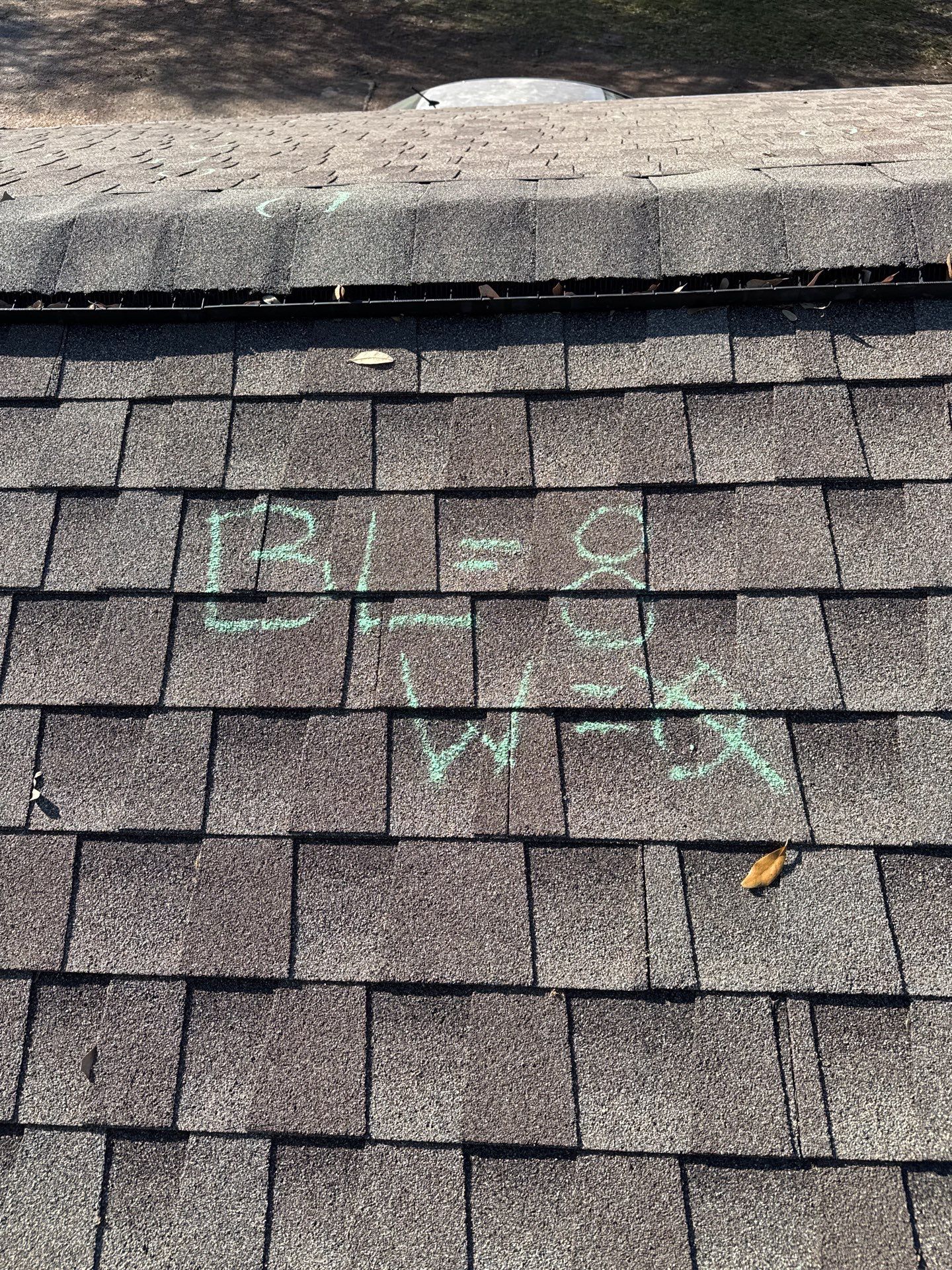 Debbie T by Boss Hogg Roofing