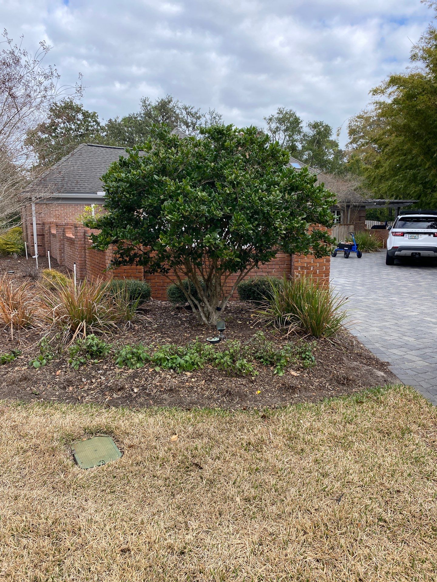 Deerwood Resident | Tree Removal & Mulch Install by ProGreen Services