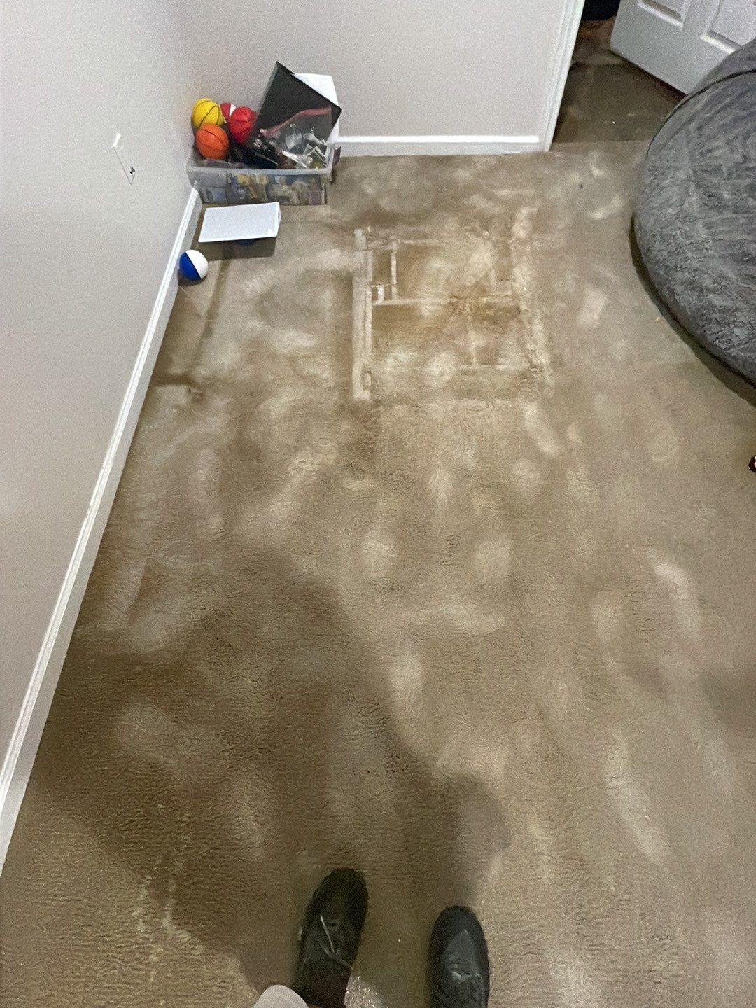 Project in Troy by EzDry Water Mitigation & Property Restoration