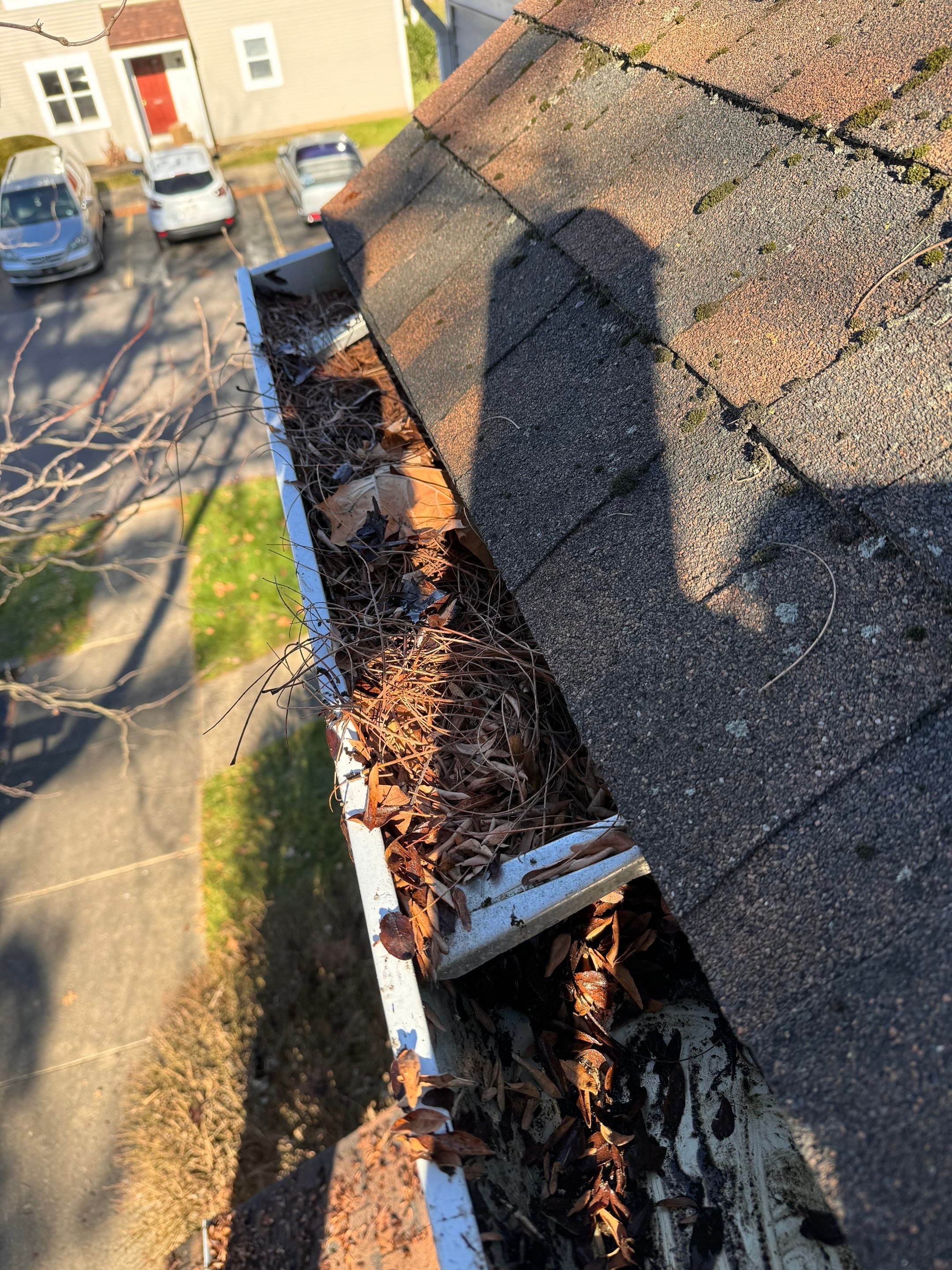 Commercial gutter cleaning Charleston, WV before photo with filled gutters