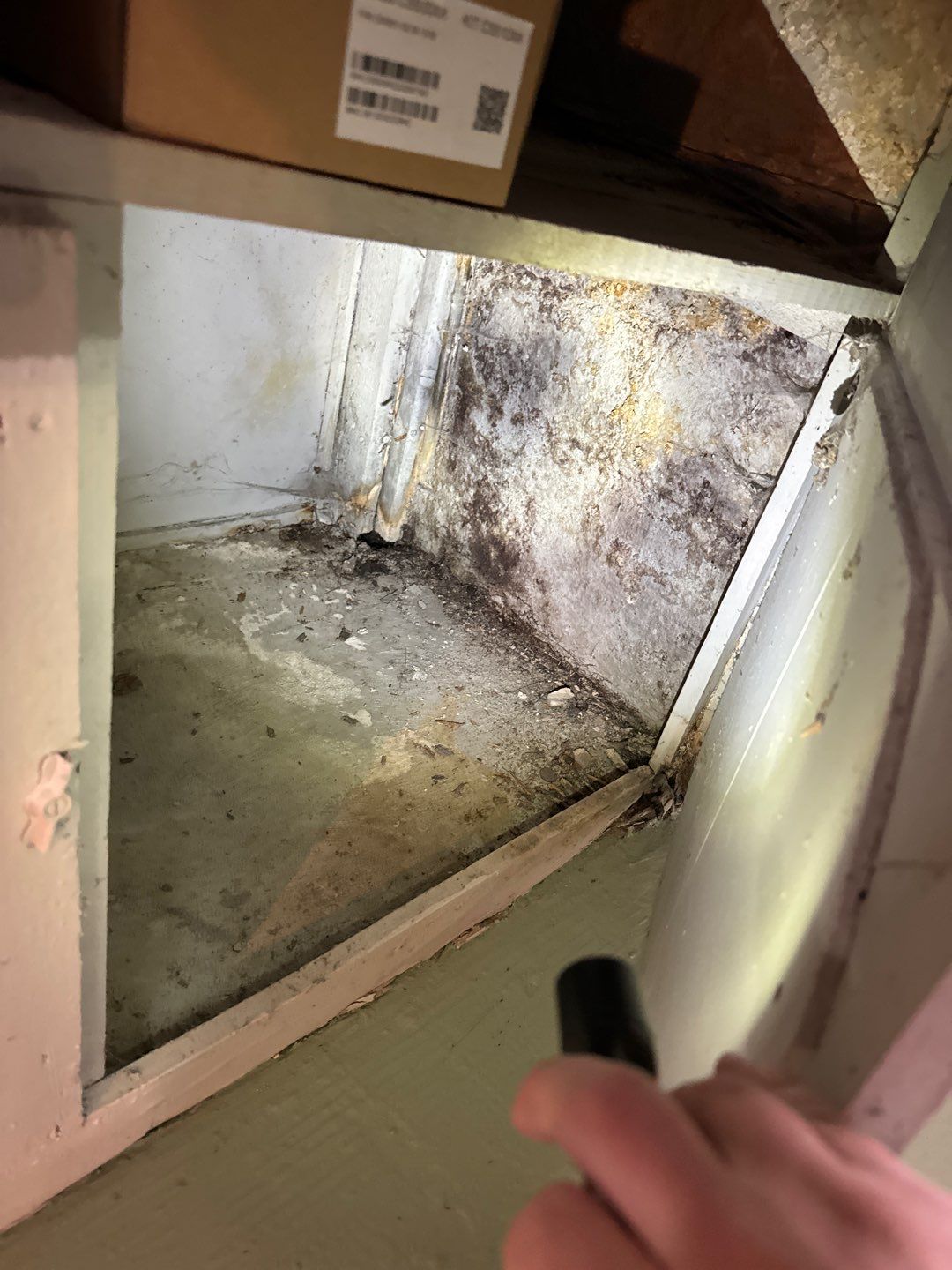 Helping Diane Protect Her Home by Waterproofing Northeast